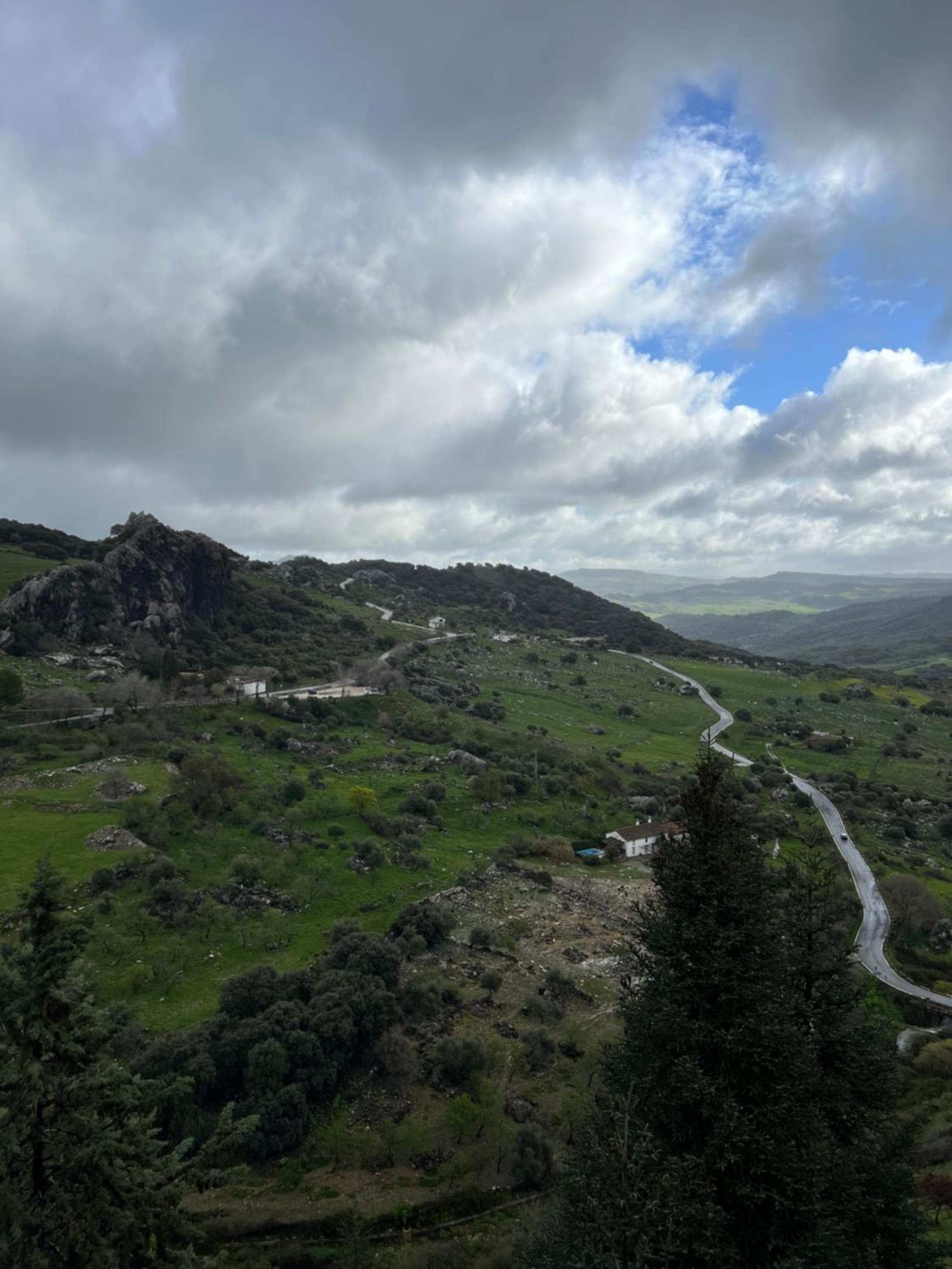 El Endrinal