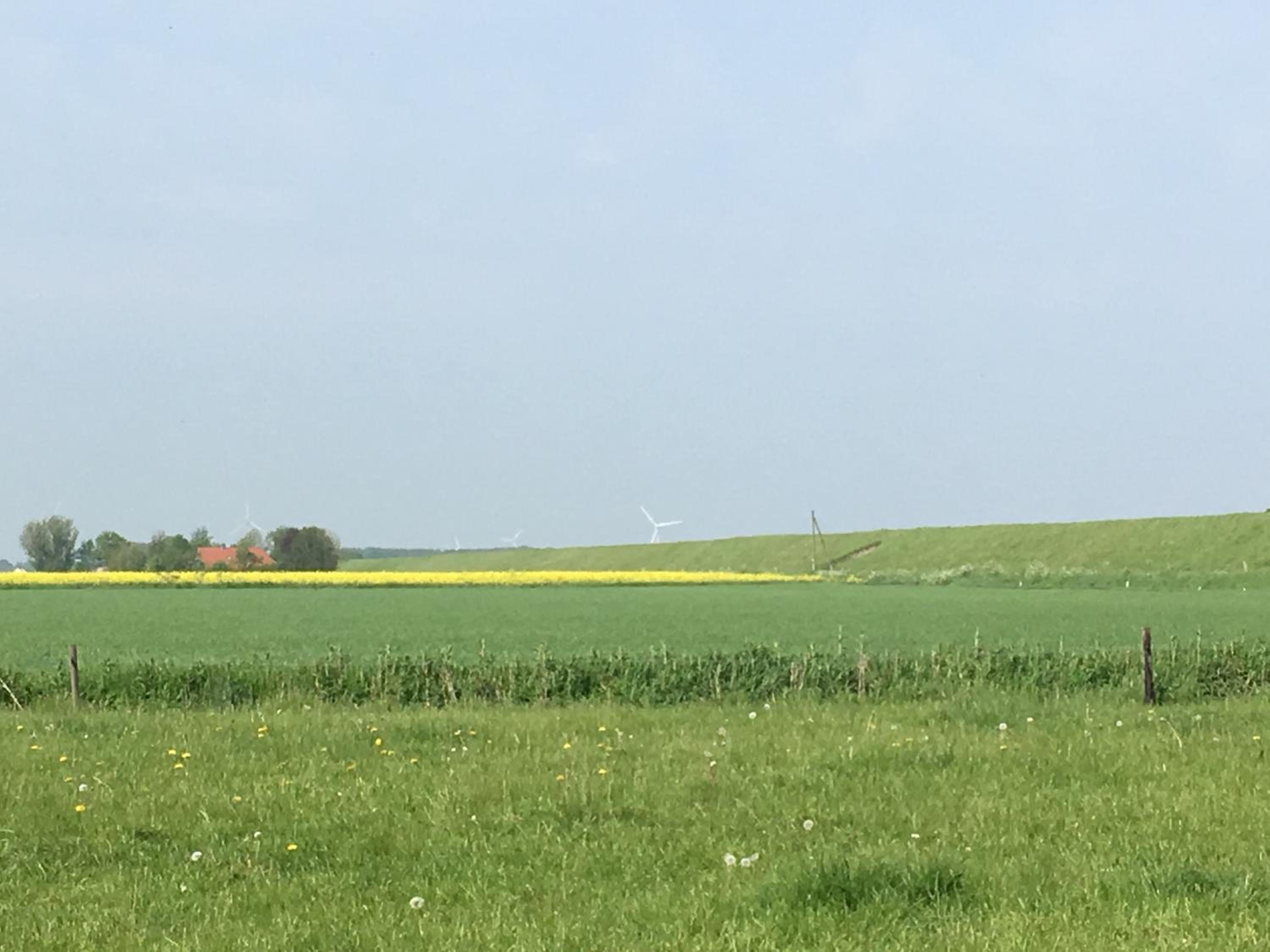 FeWo Sommerhaus - Javenloch