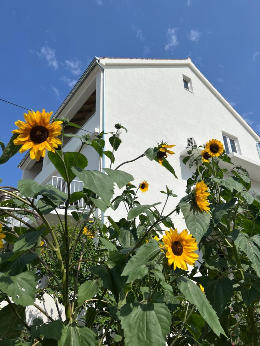 Hotel Apartments Nikola Stipišić - Image 1