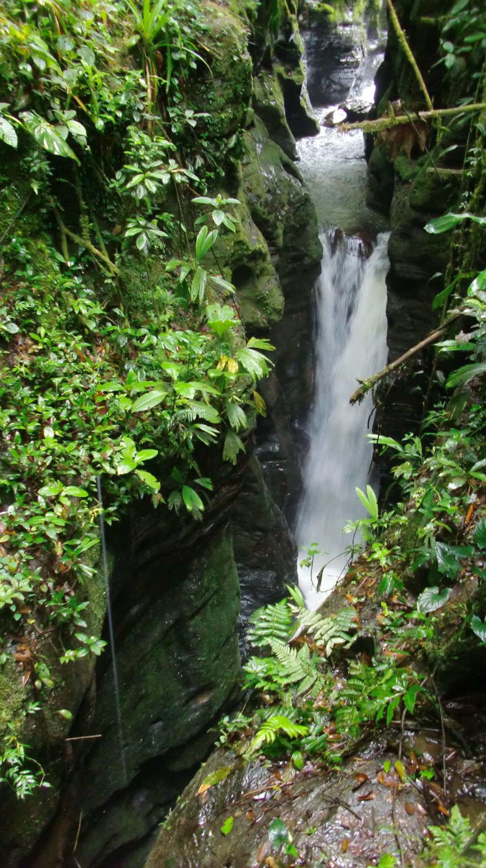 Kayak Hostel Ecuador