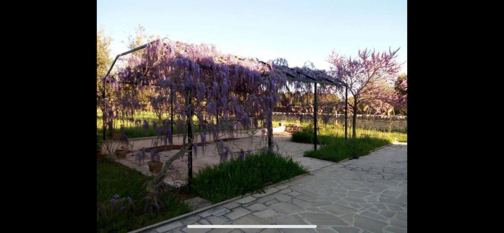 Tipico Casale Pugliese immerso nel verde photo 2