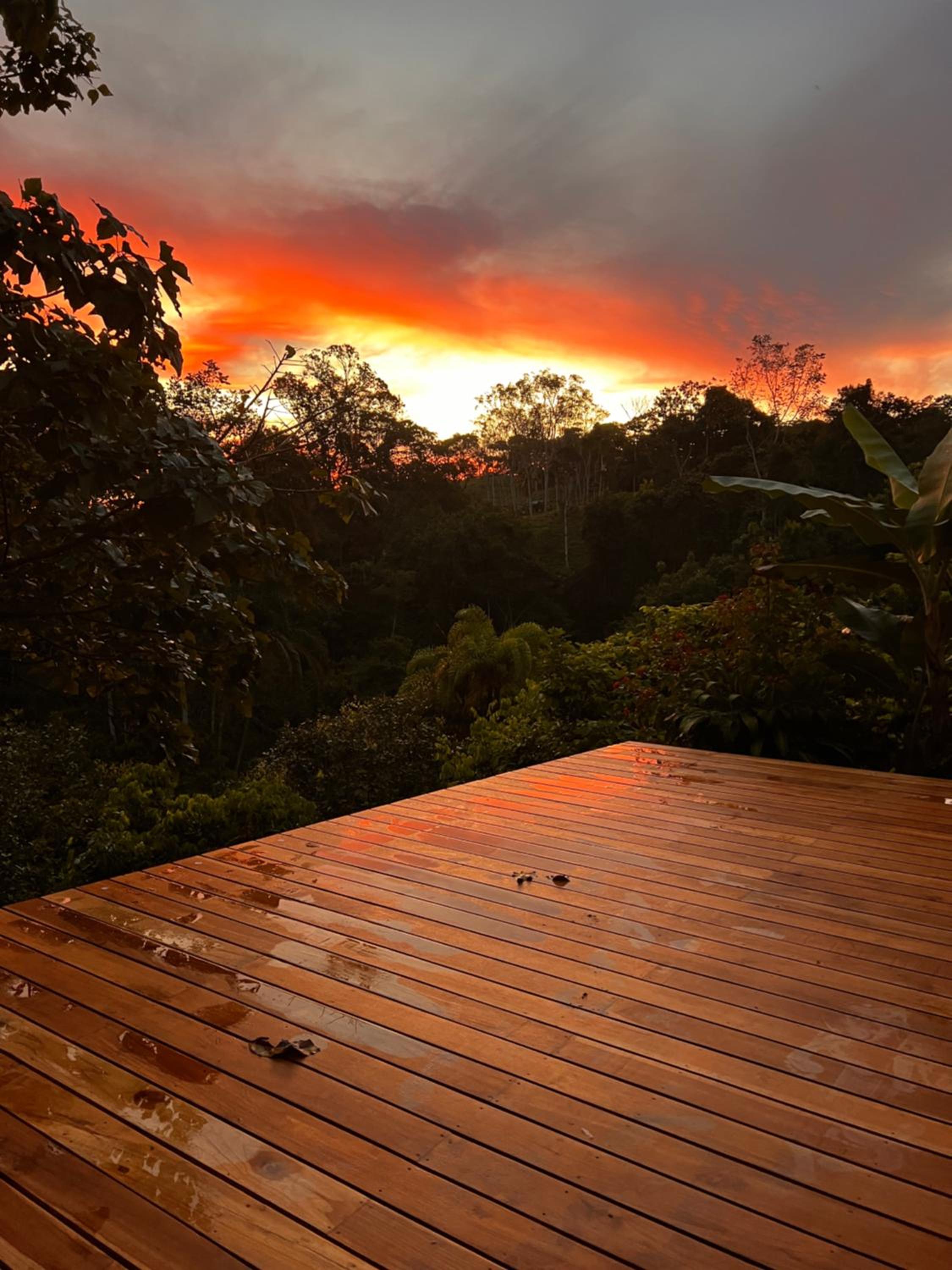Casa Hummingbird Peace & Nature