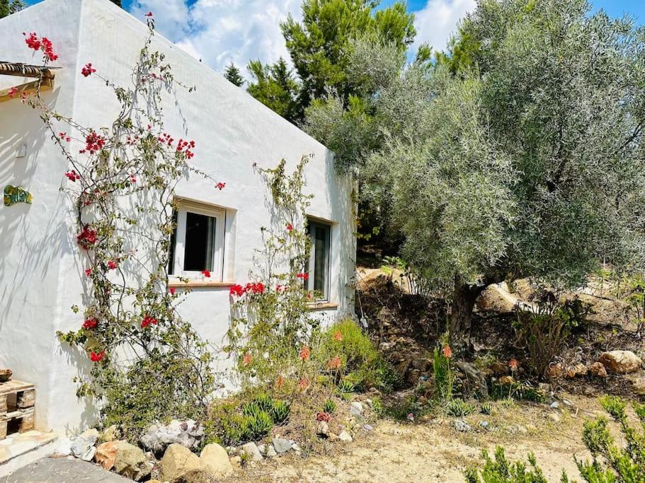 Satori, paradise in rural malaga