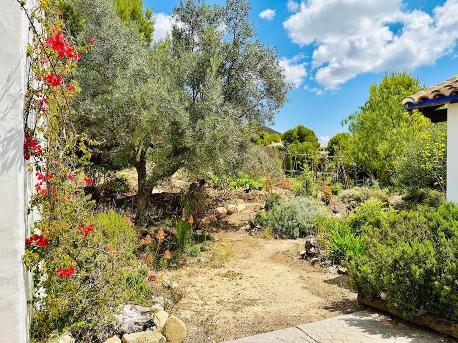 Satori, paradise in rural malaga