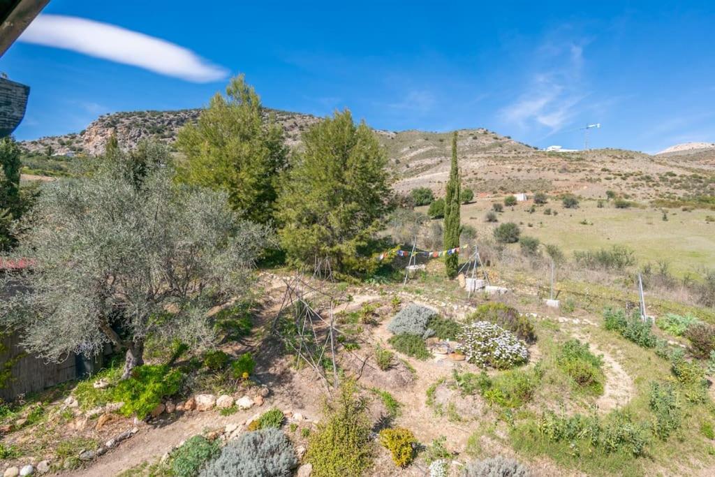 Satori, paradise in rural malaga