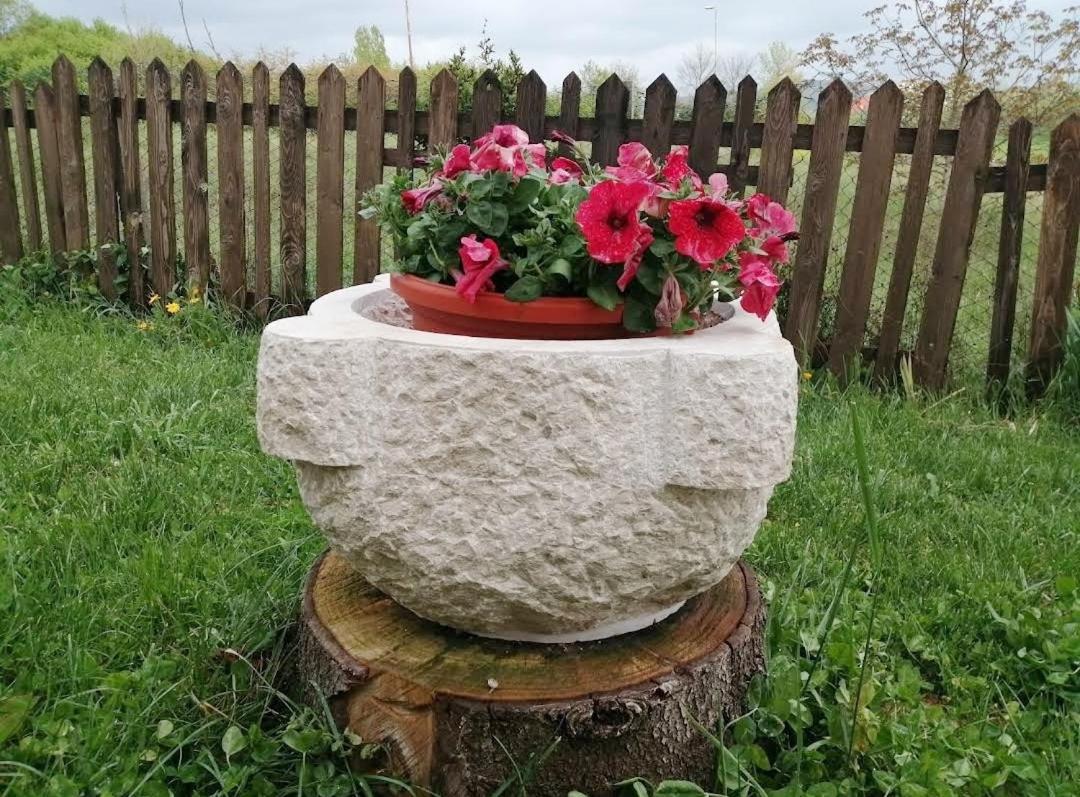 Photo 27