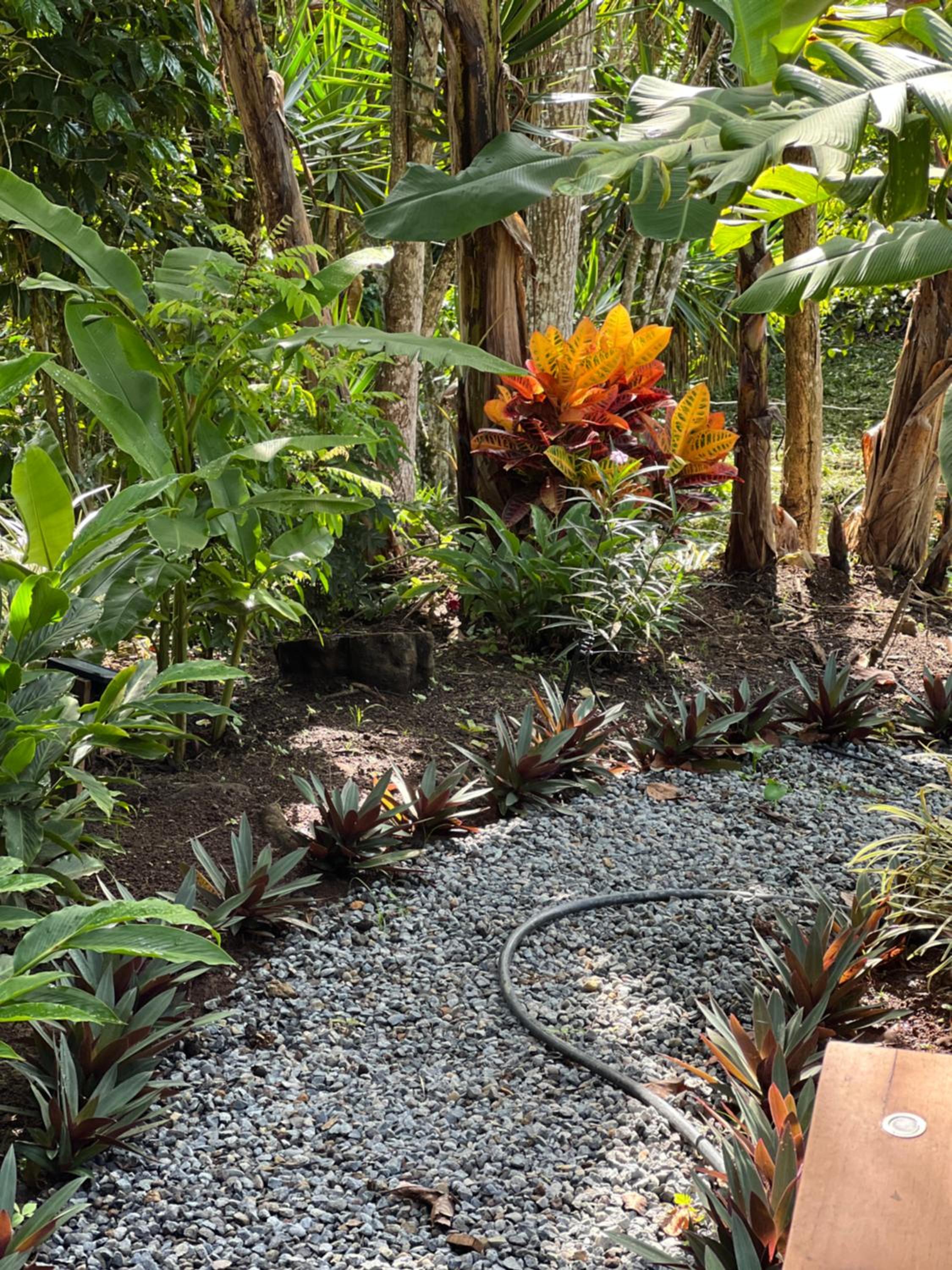 Casa Hummingbird Peace & Nature