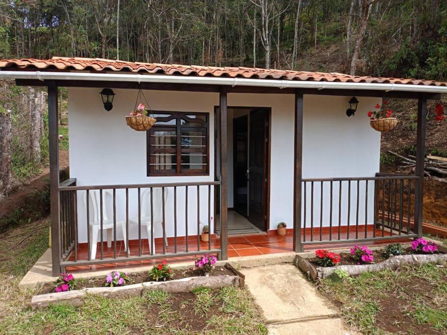 Casa Libélula