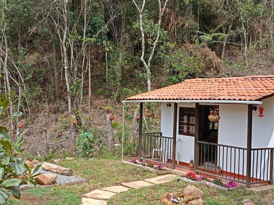 Casa Libélula