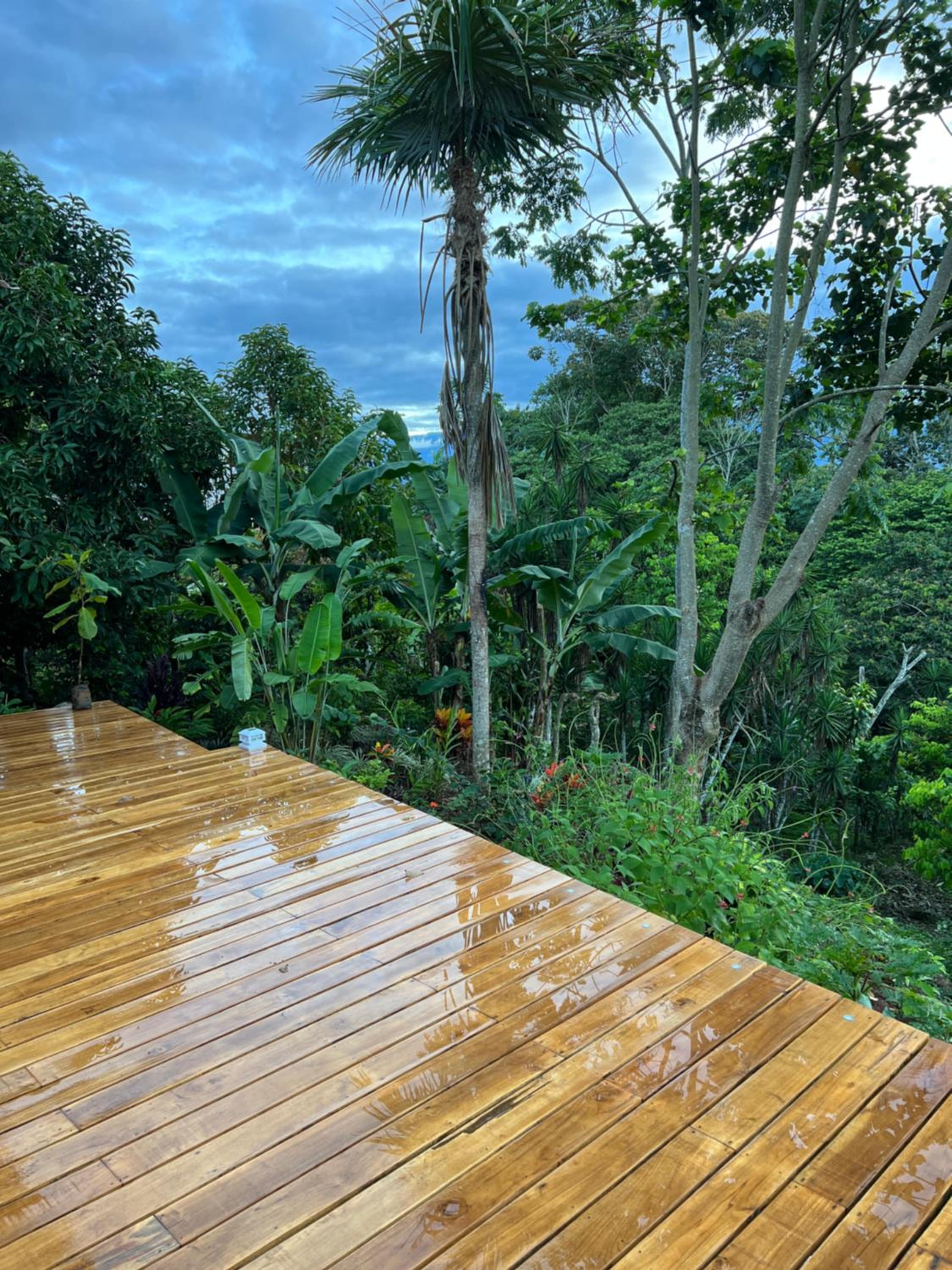 Casa Hummingbird Peace & Nature