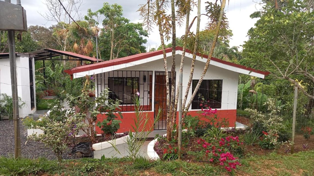 Casa Hummingbird Peace & Nature