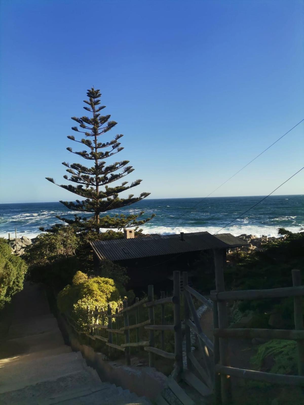 Cabañas la Playa