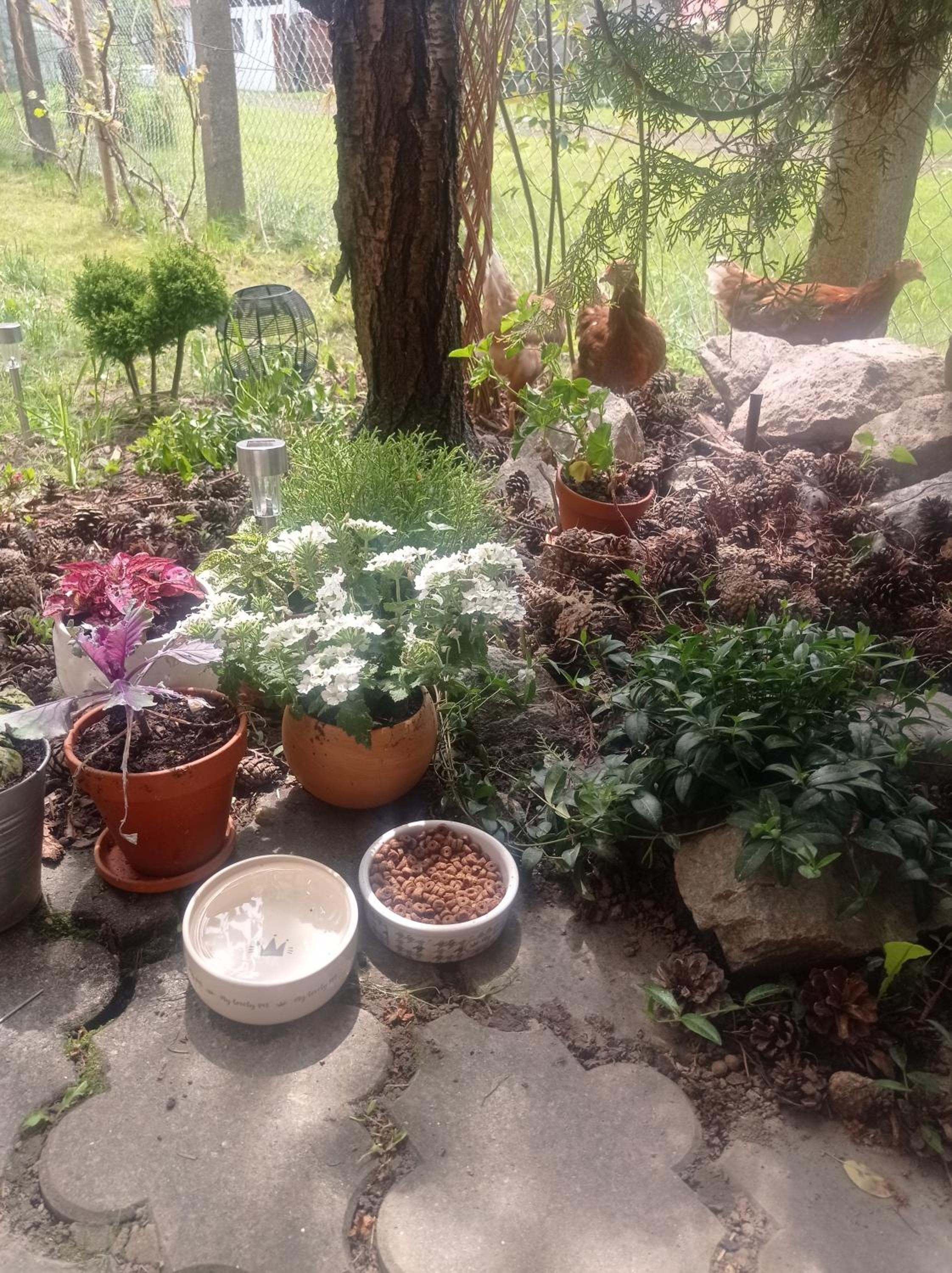Photo 27