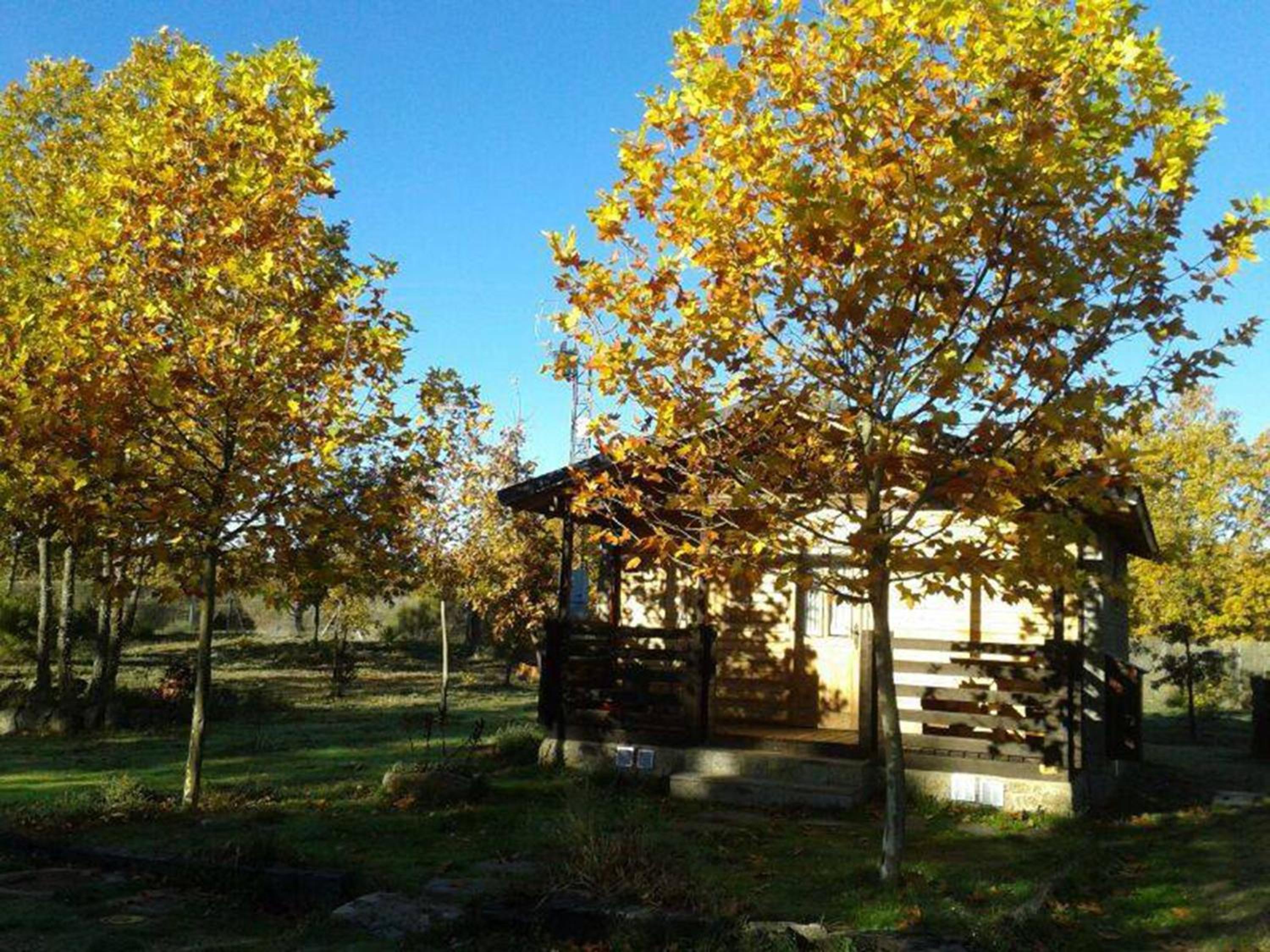 Cabañas Vallecino