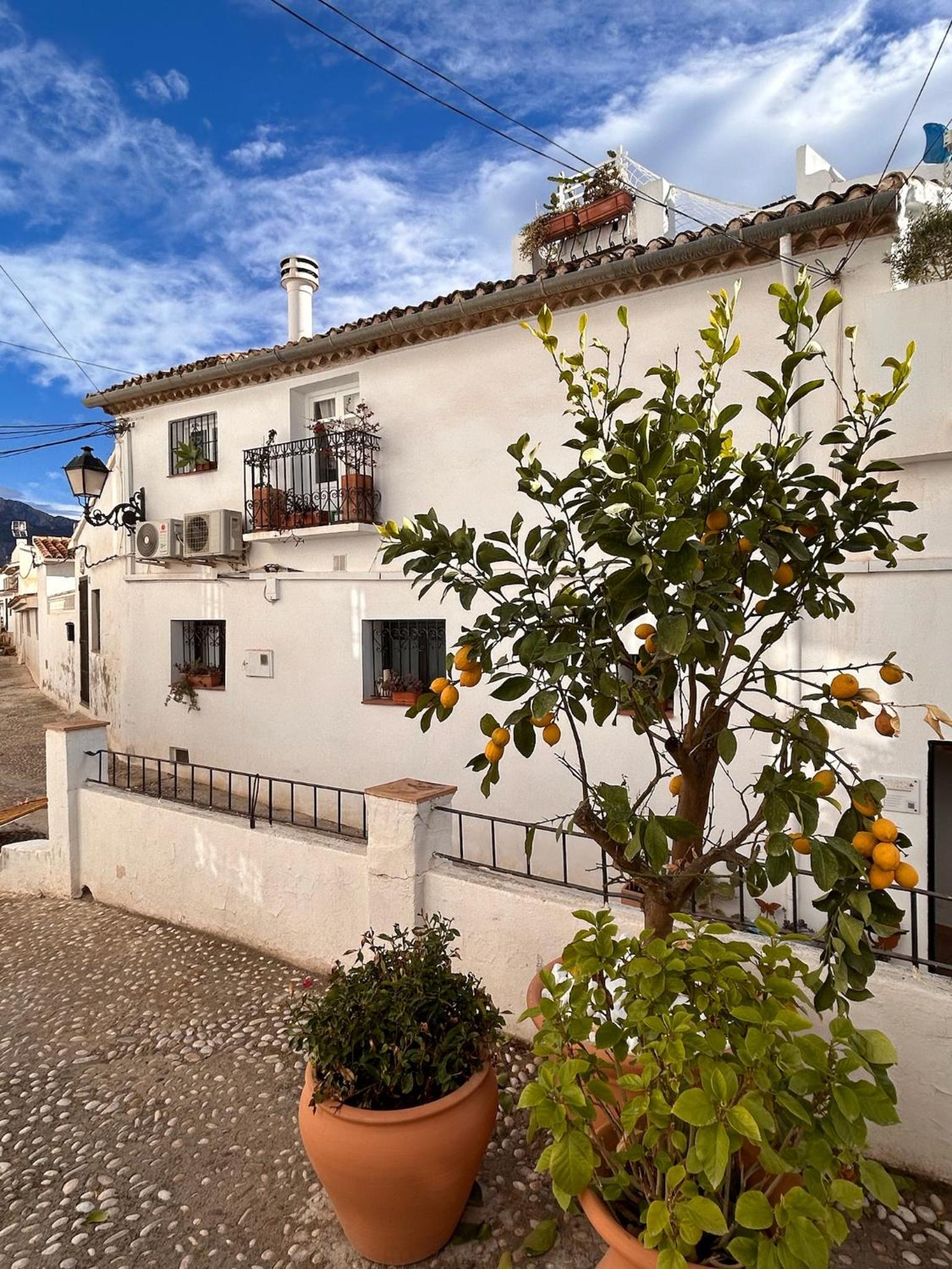 Casa Ariana, casco antiguo, terrazas con vistas al mar view 4