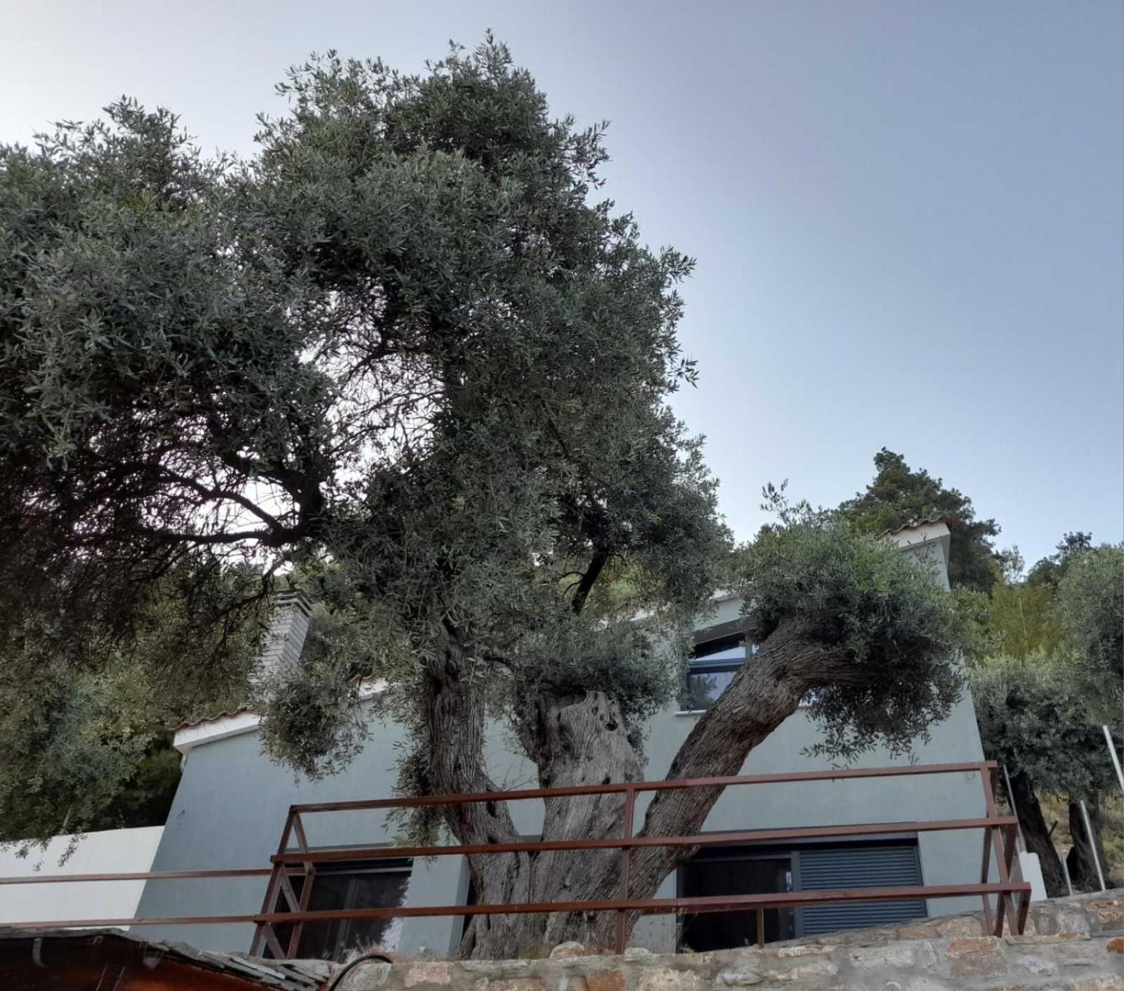 Waterview Villa
