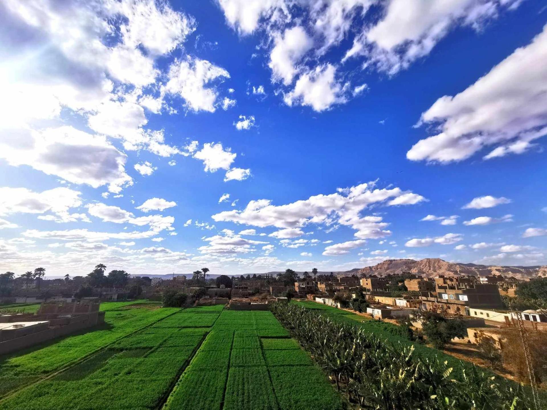 Dream Garden Luxor