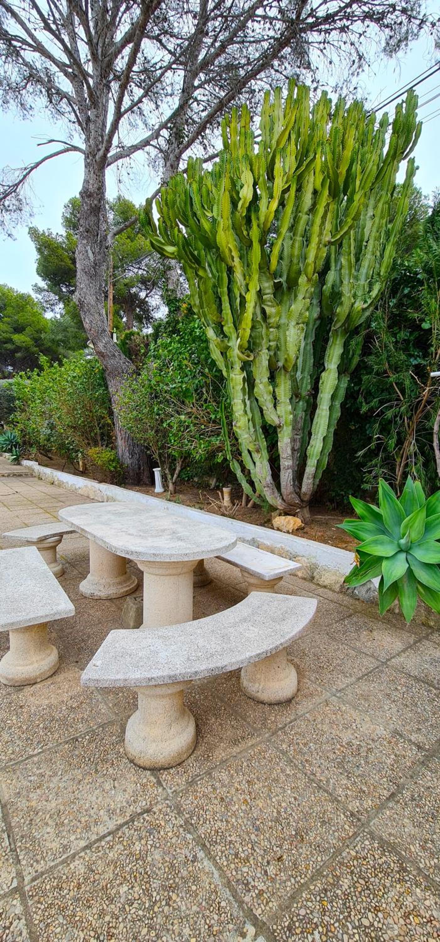Villa los Agaves Javea piscina y barbacoa