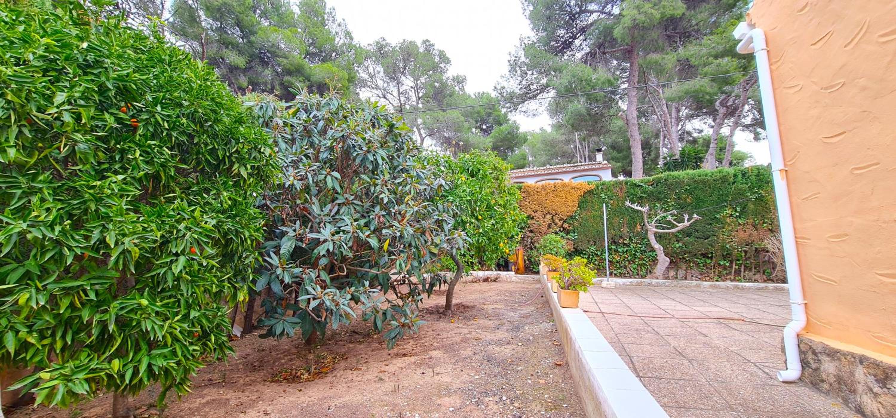 Villa los Agaves Javea piscina y barbacoa