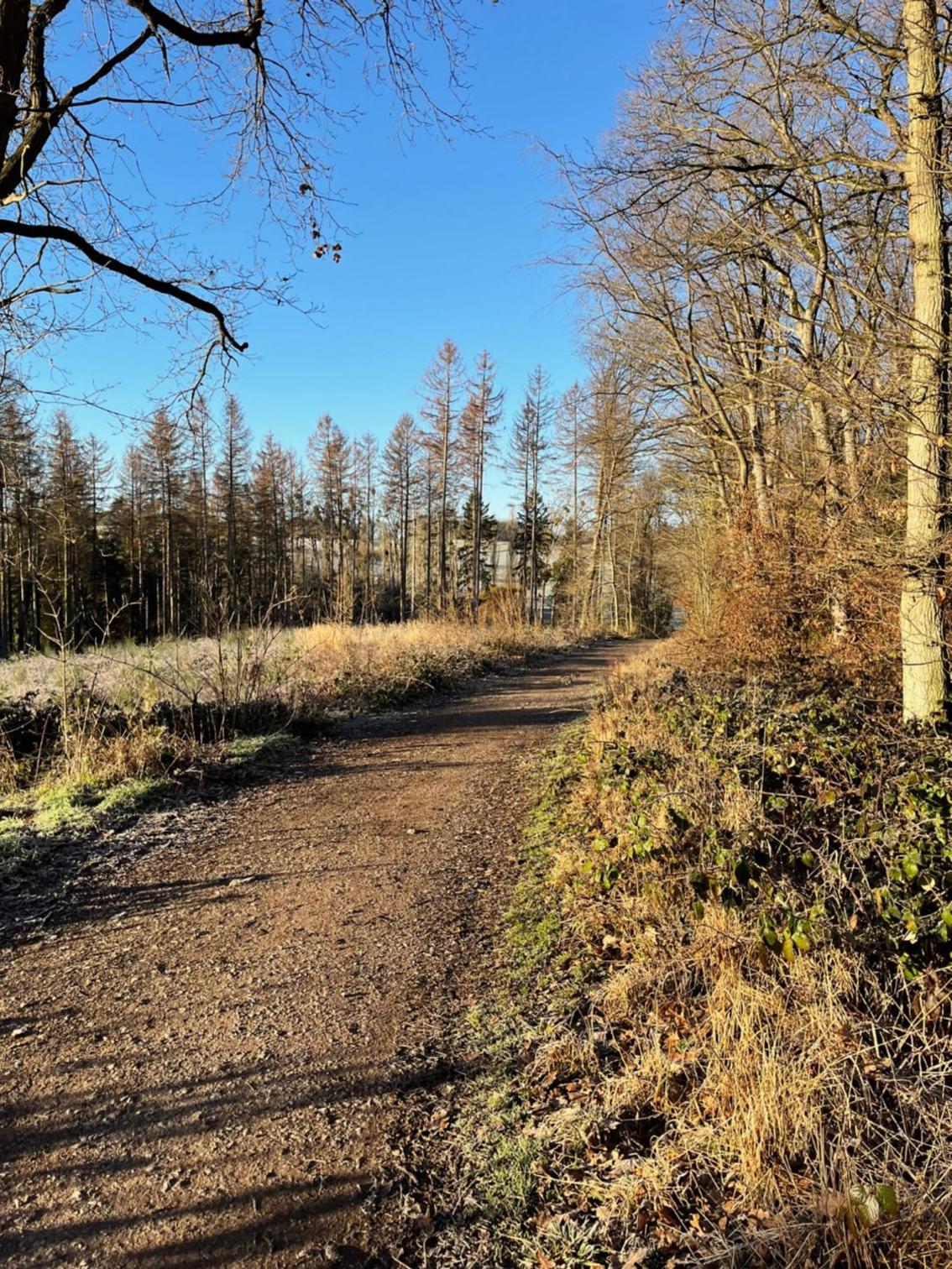 Schwalbennest
