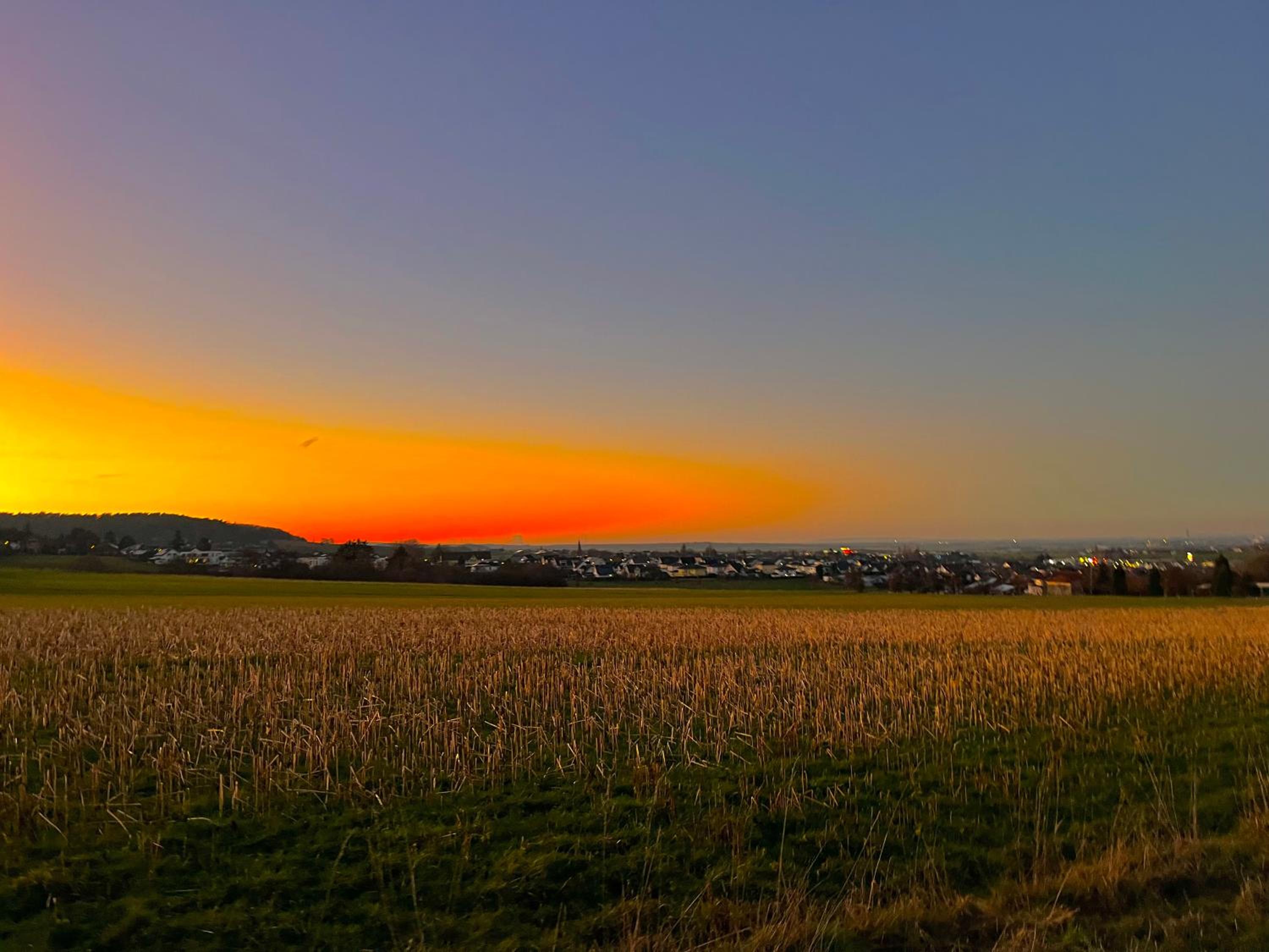 Schwalbennest