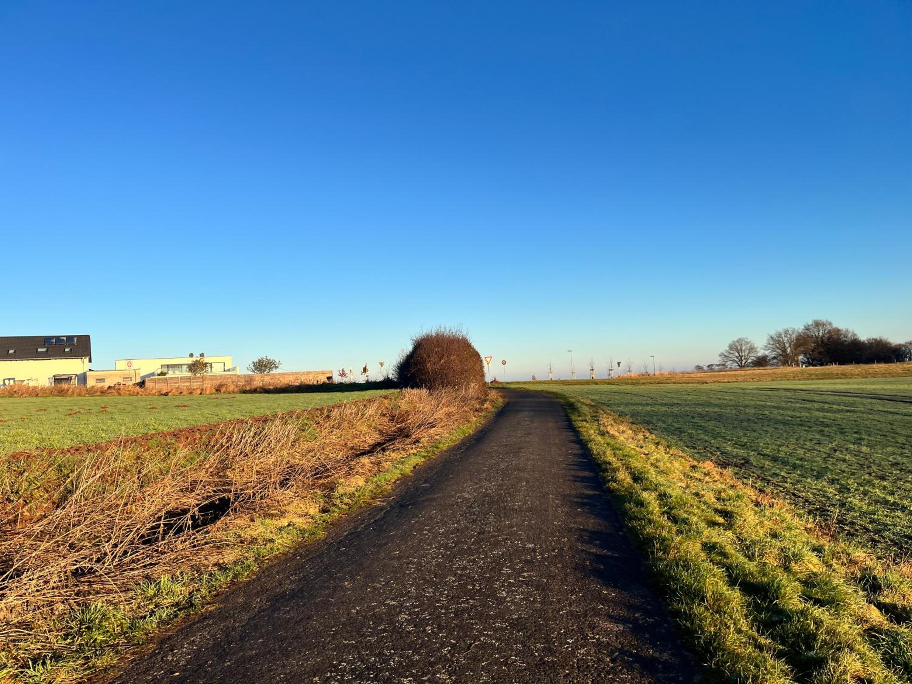 Schwalbennest