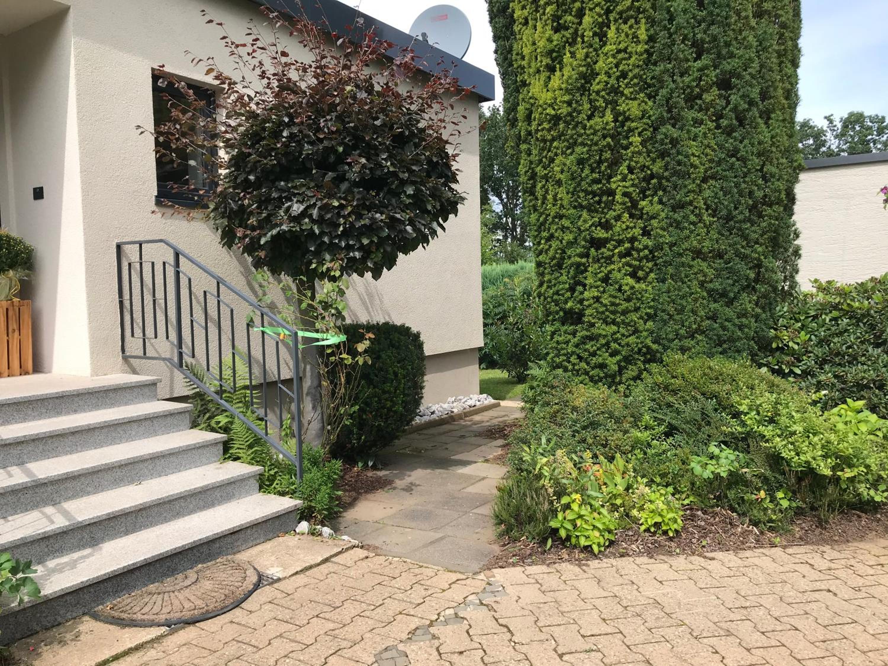 Schwalbennest
