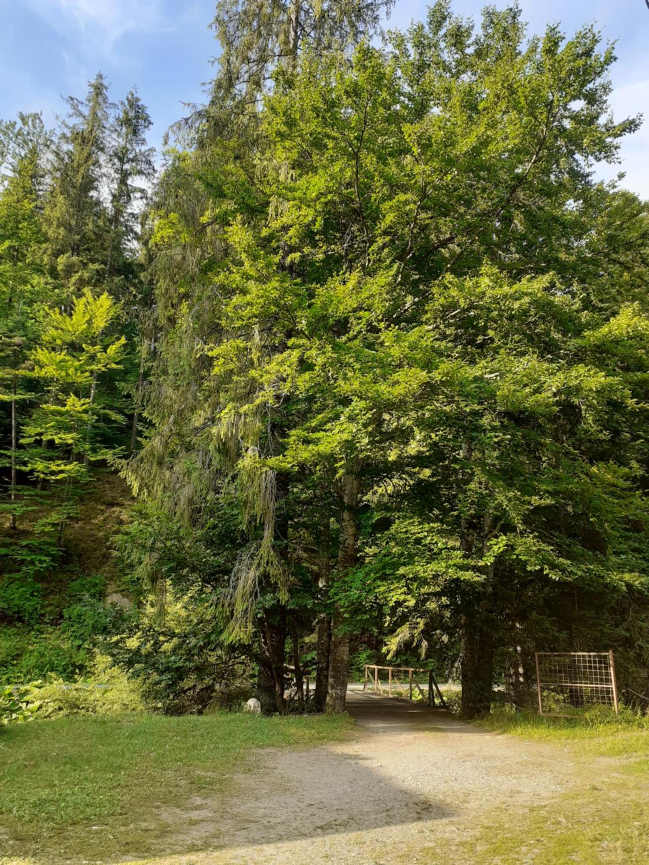 Cabana Valea Stanciului Stefan