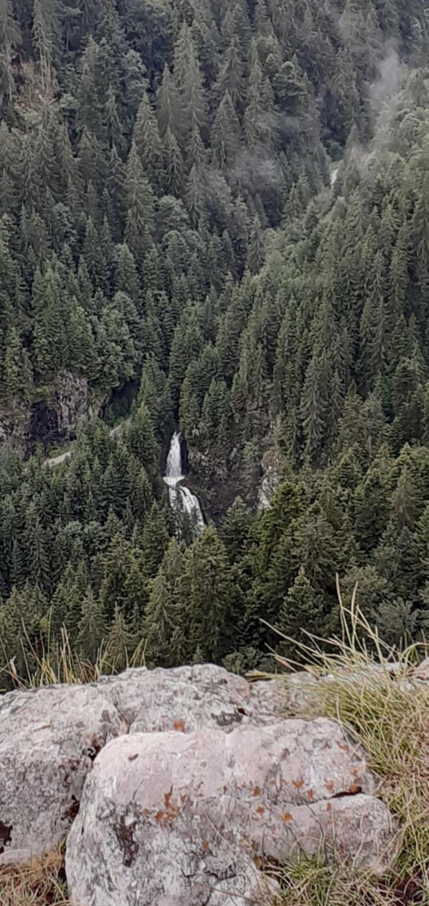 Cabana Valea Stanciului Stefan