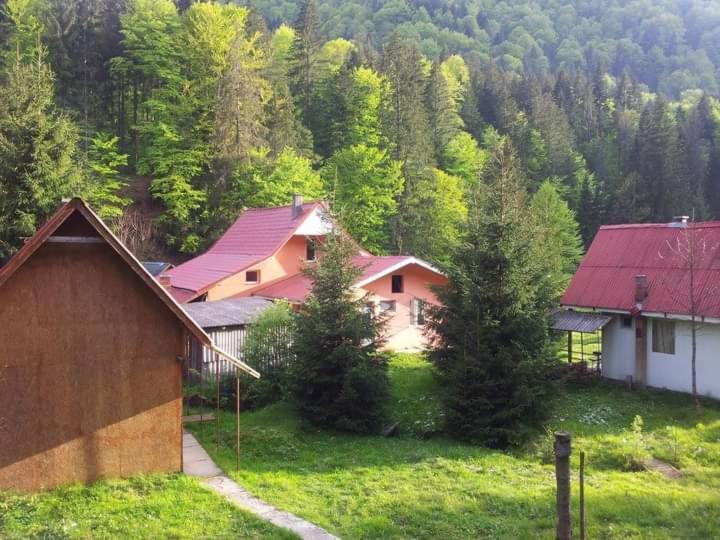 Cabana Valea Stanciului Stefan
