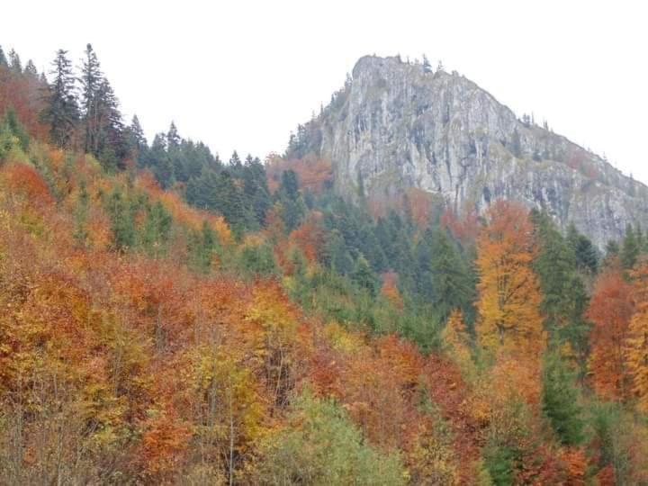 Cabana Valea Stanciului Stefan