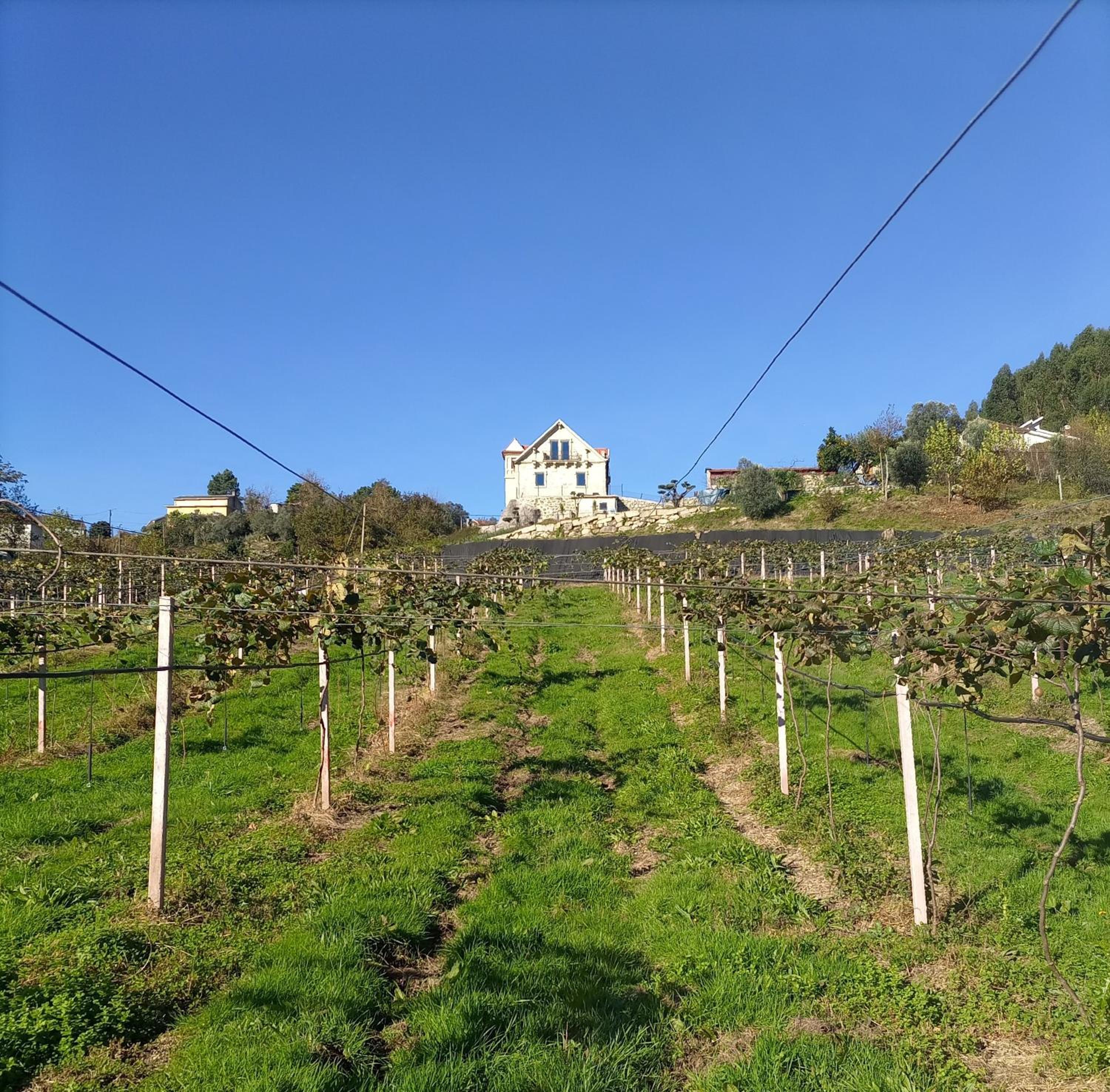 Quinta do Bairro