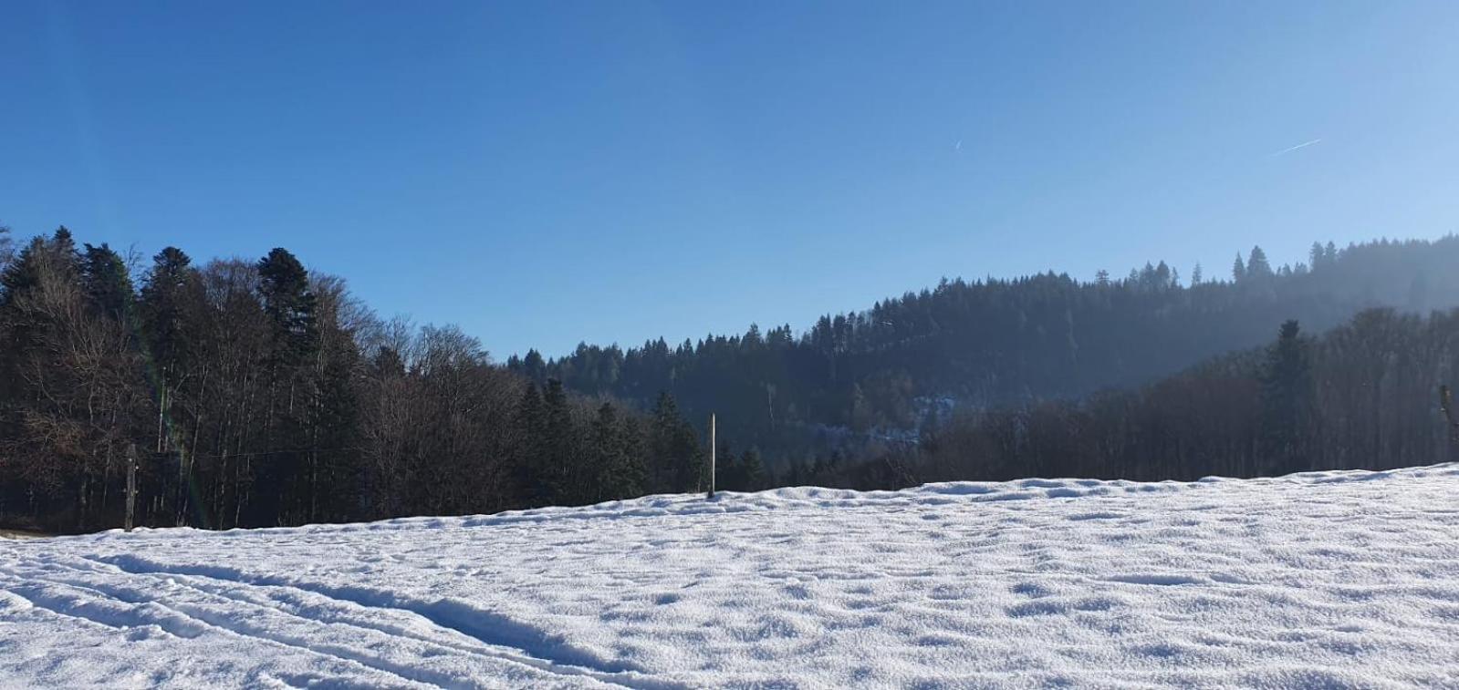 Wohnung im Schwarzwald mit Panorama Blick