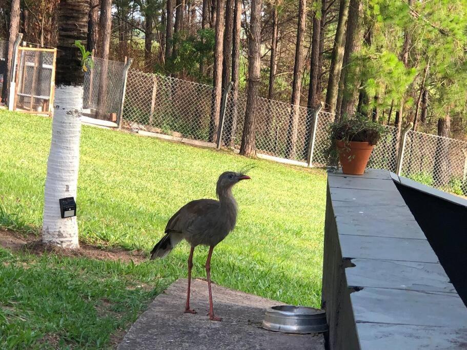 Chácara tipo resort a maior piscina que vc já viu!