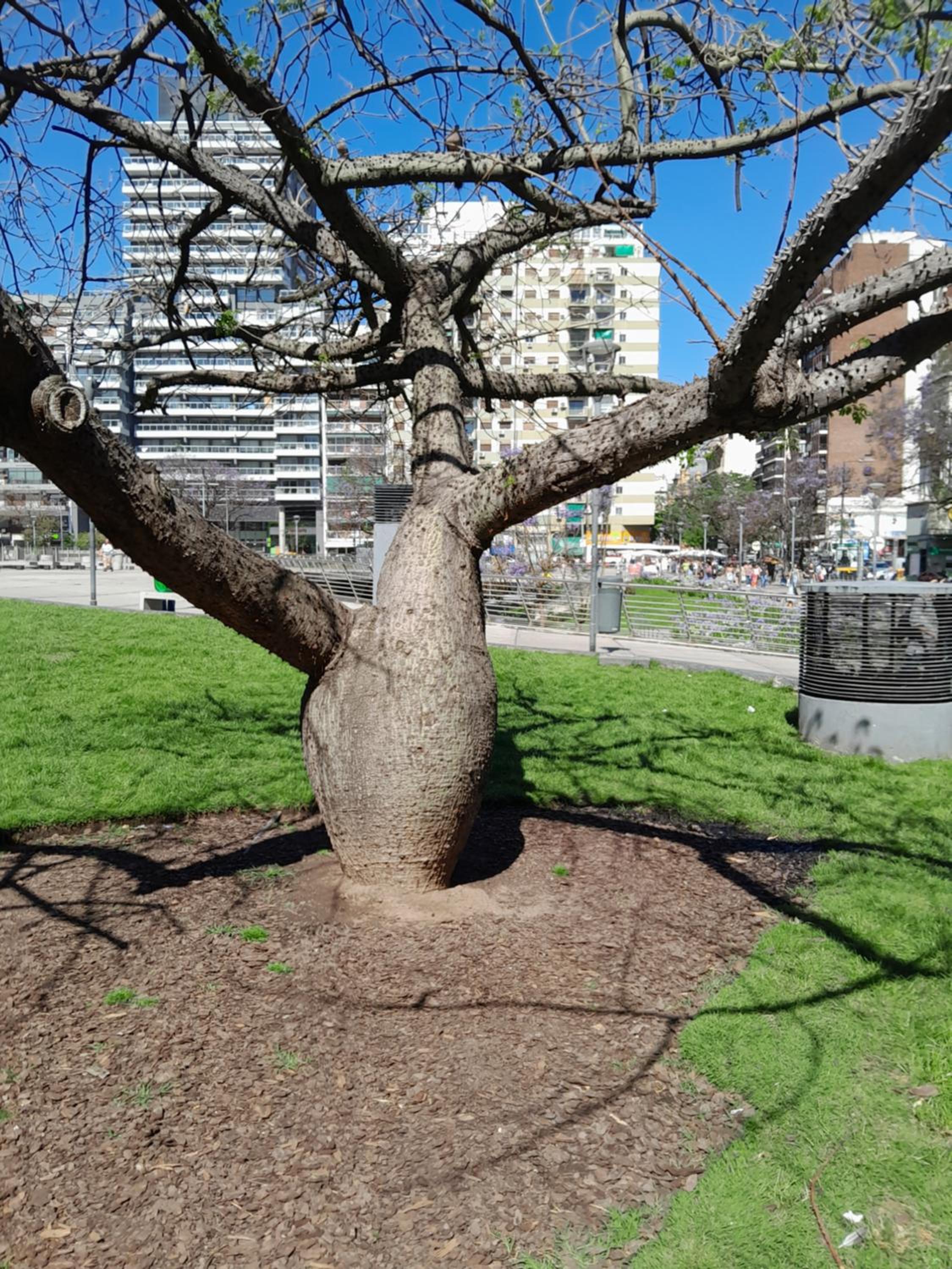 Ciudad de Bs As 1