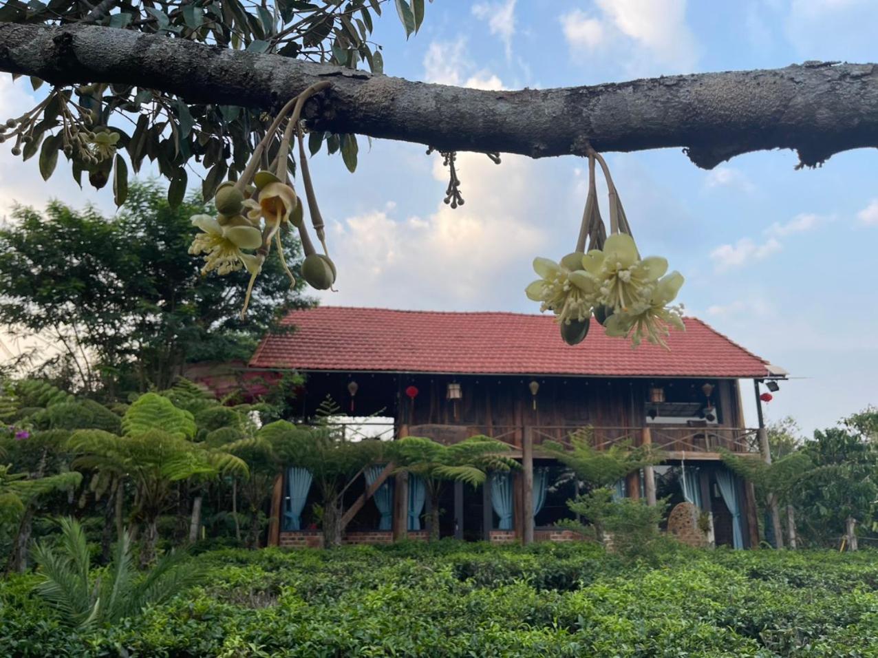 Tea Garden House view 5