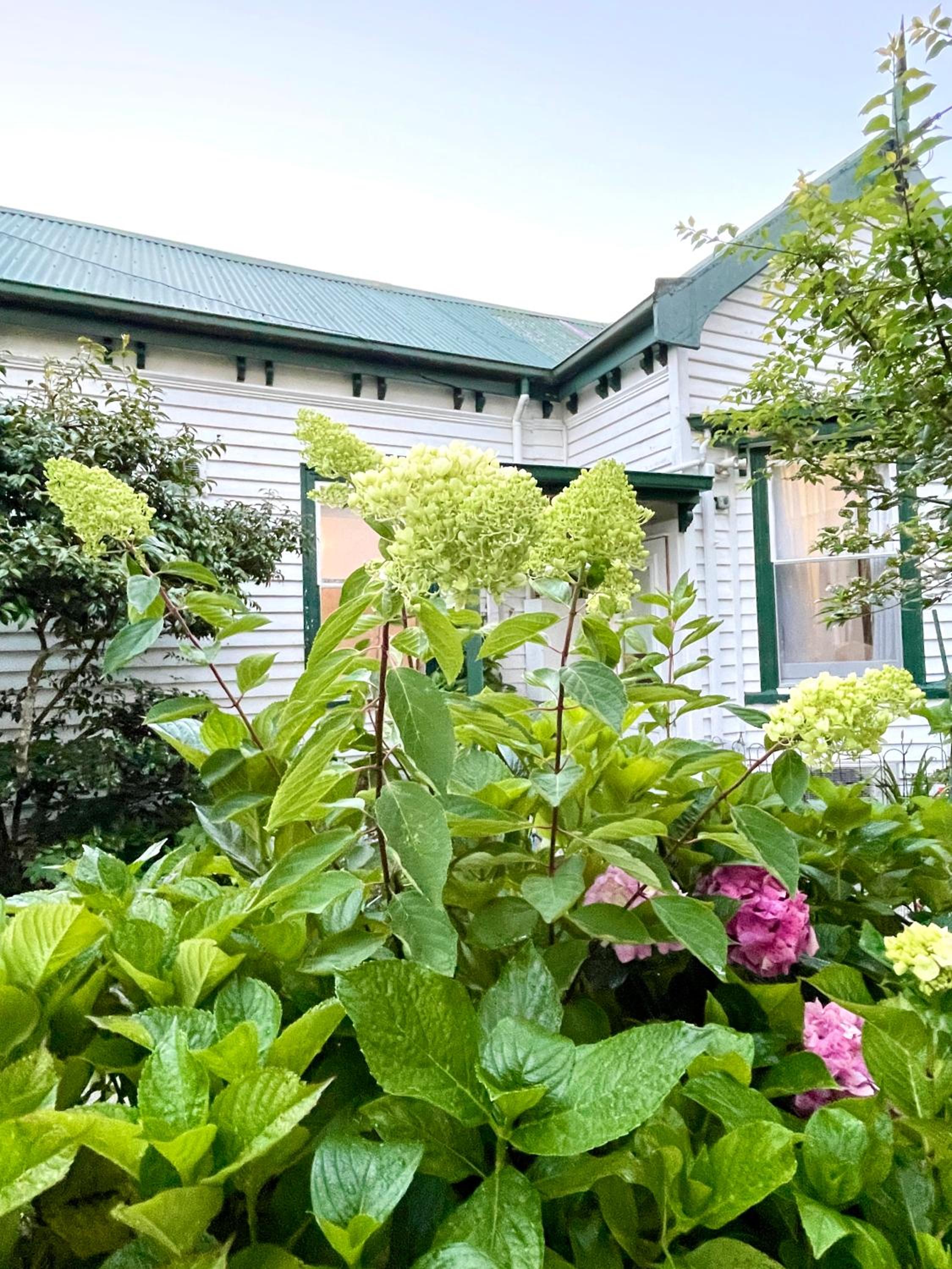 Strahan Wilderness Lodge