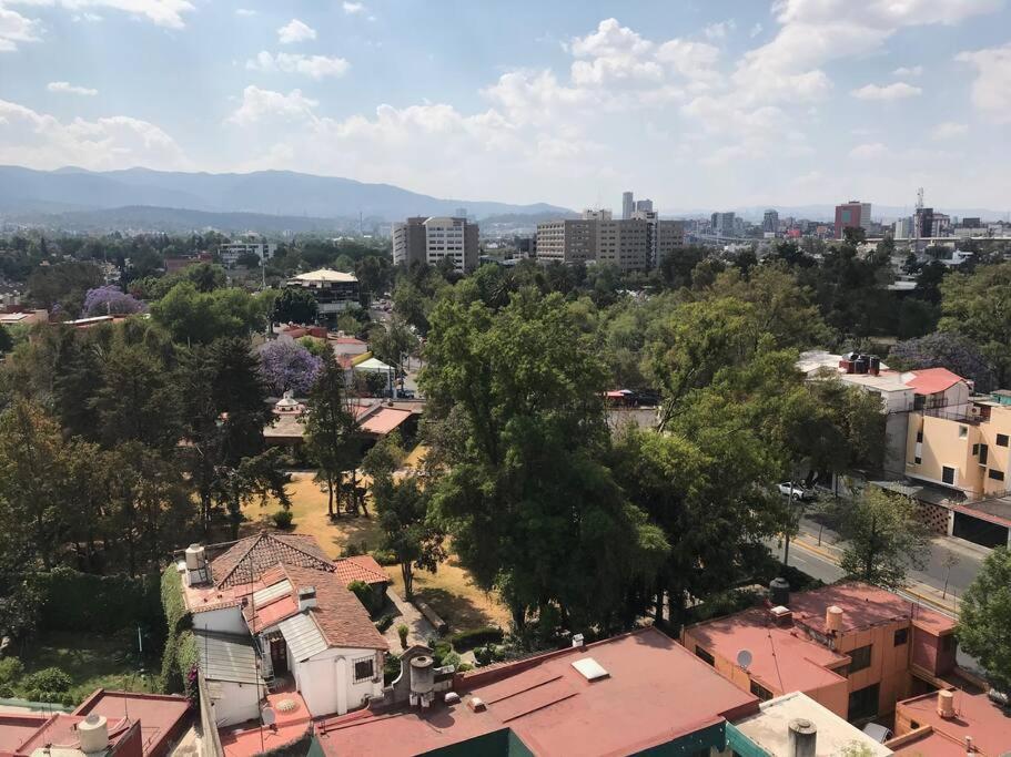 Best place in south Mexico City.