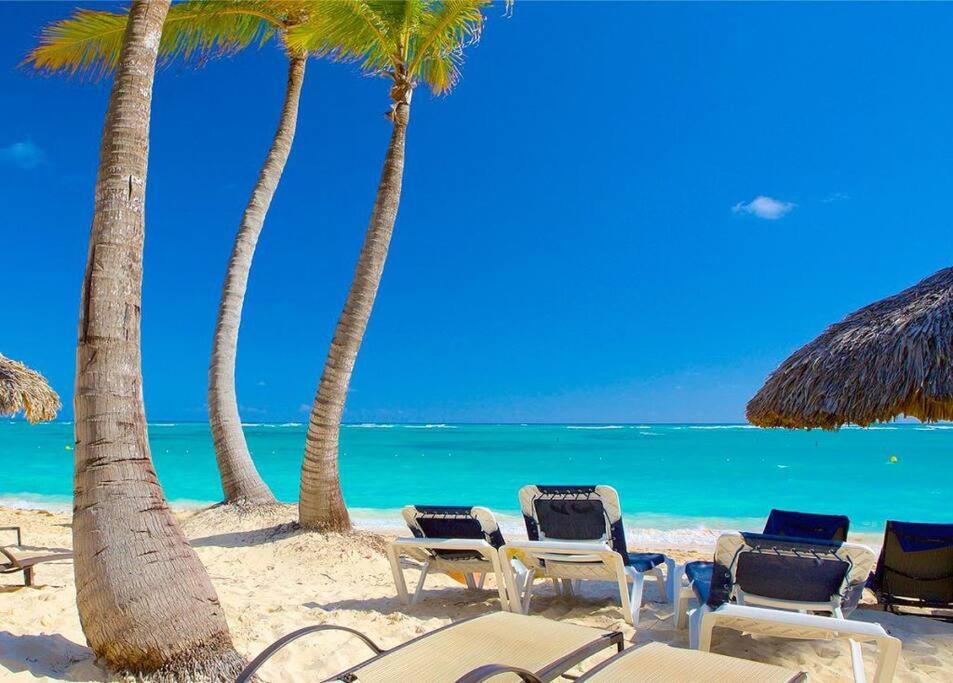 Papaya Apartment Bavaro just steps from the beach. view 2
