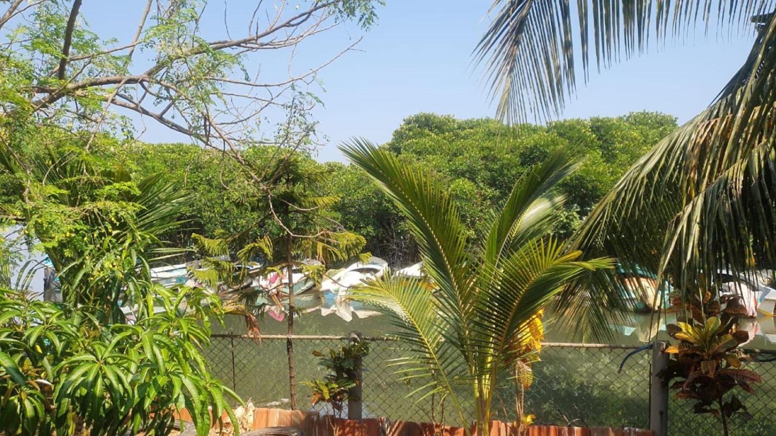 Negombo Lagoon Villa