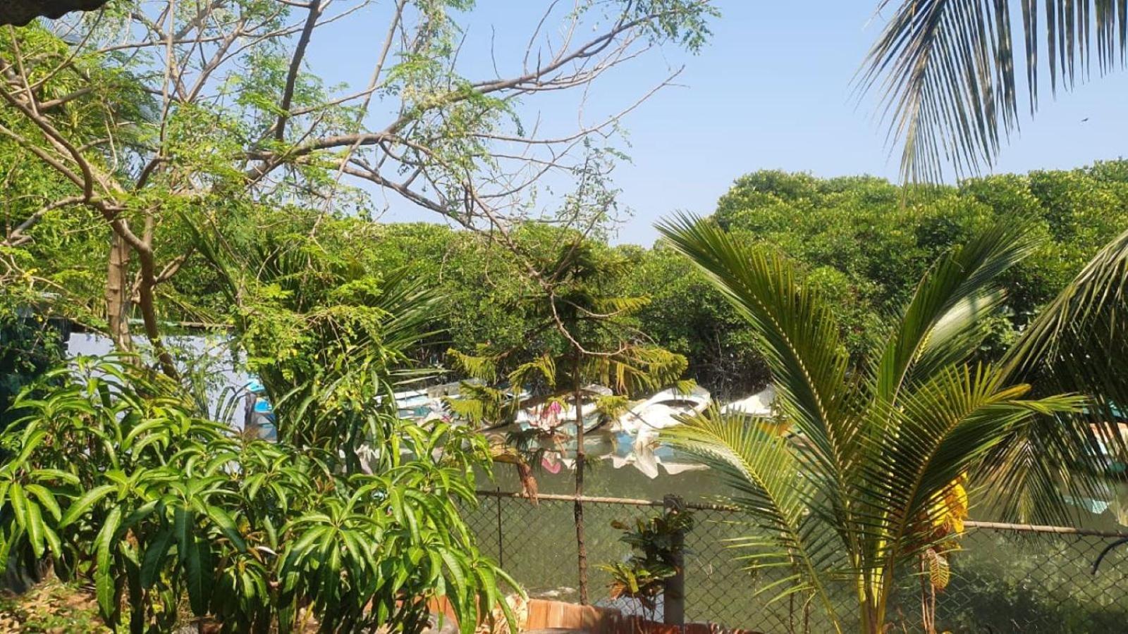 Negombo Lagoon Villa