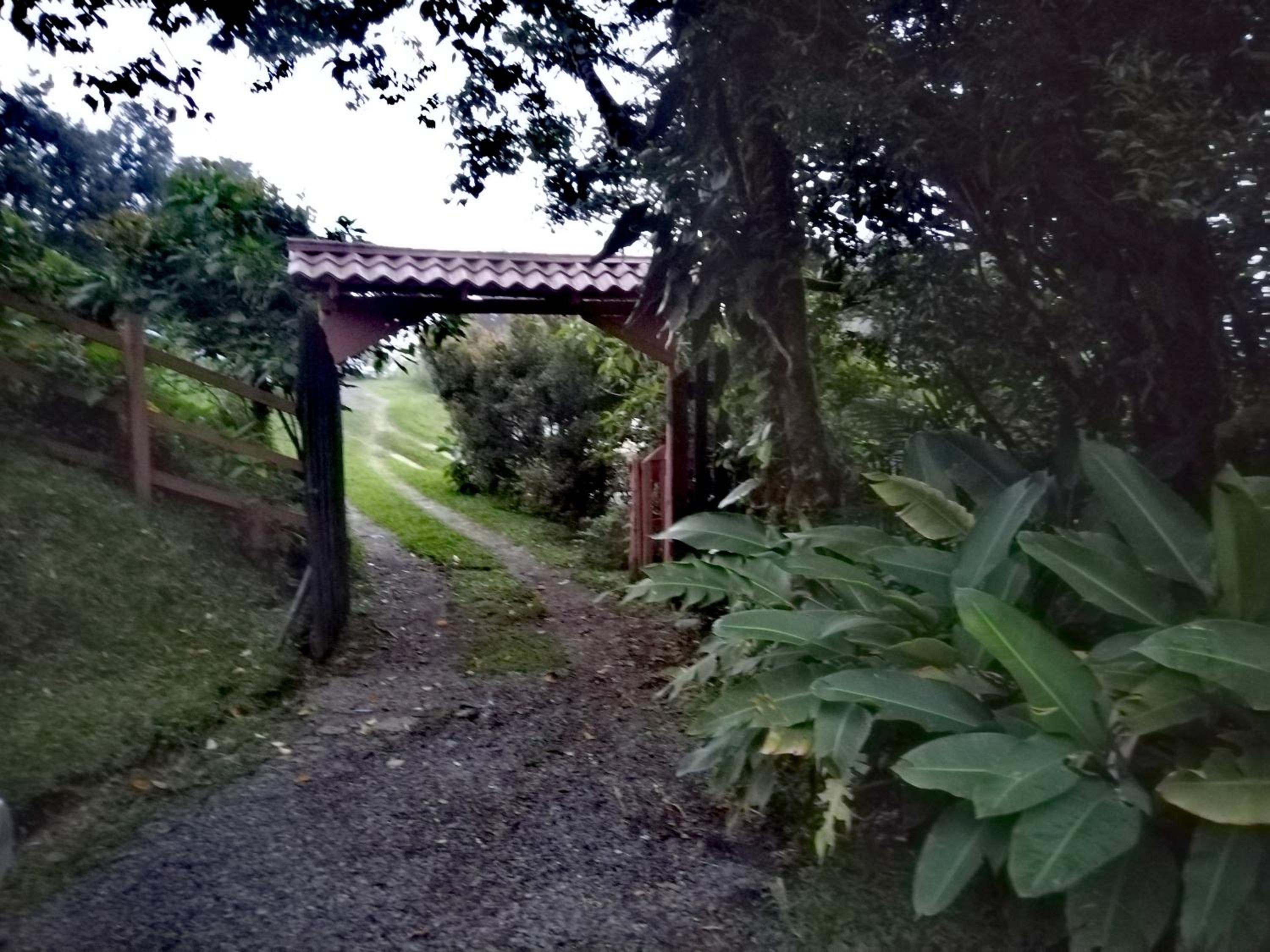 Cabaña Bosque del Río