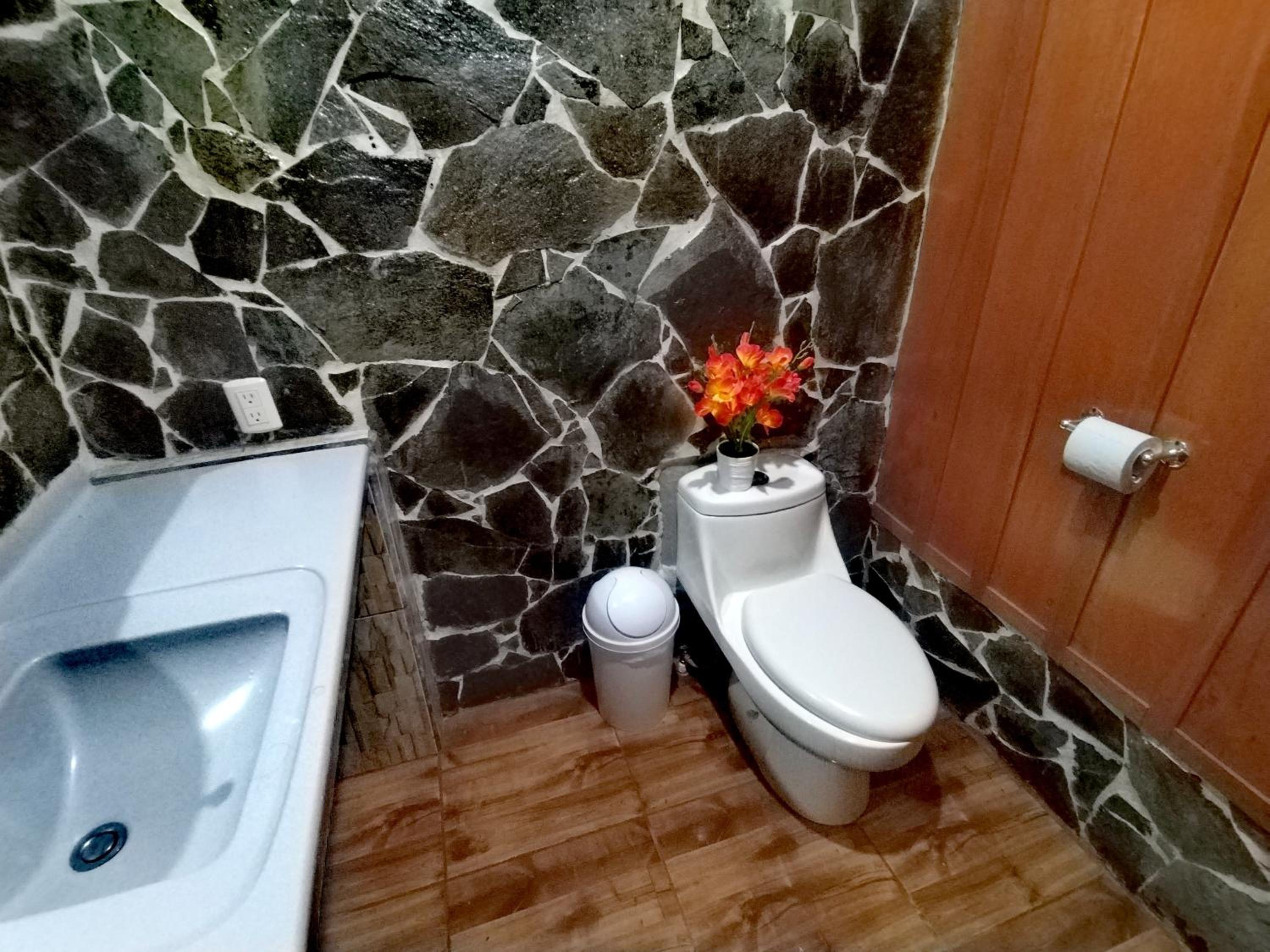 Cabaña Bosque del Río