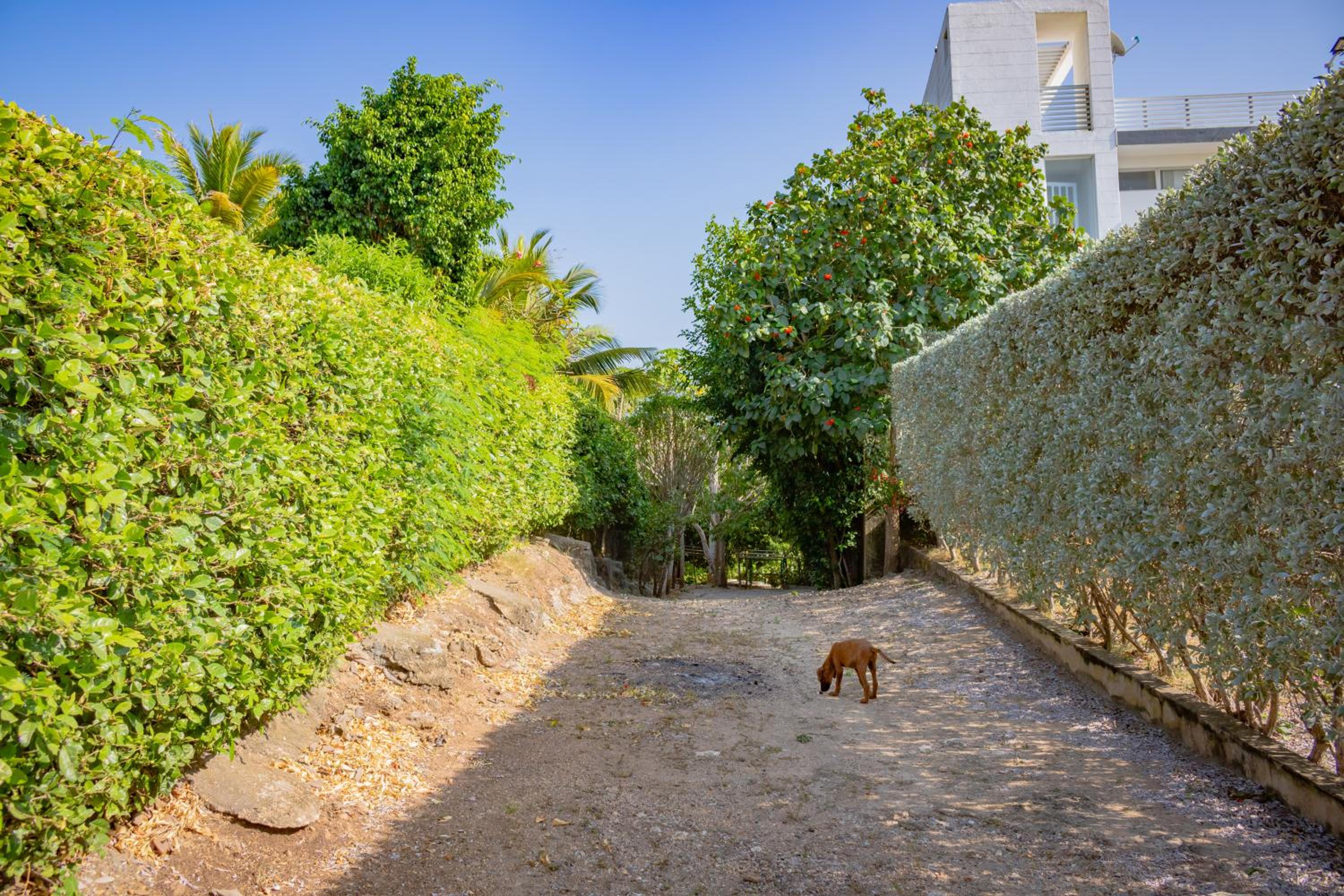 Casa campo Lujo con piscina cerca de cartagena