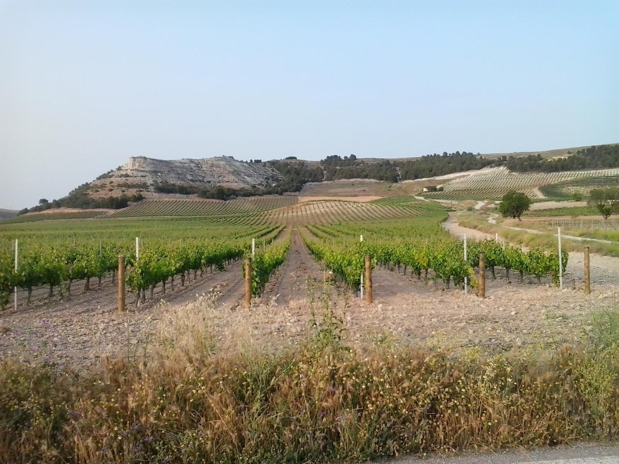 Alojamiento Rural Pueblo de la Ribera