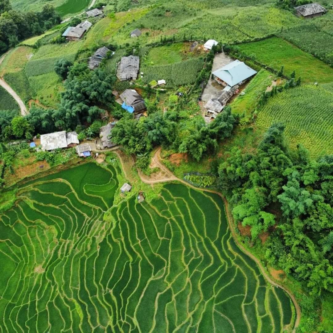 Mao Sapa trekking and homestay 12