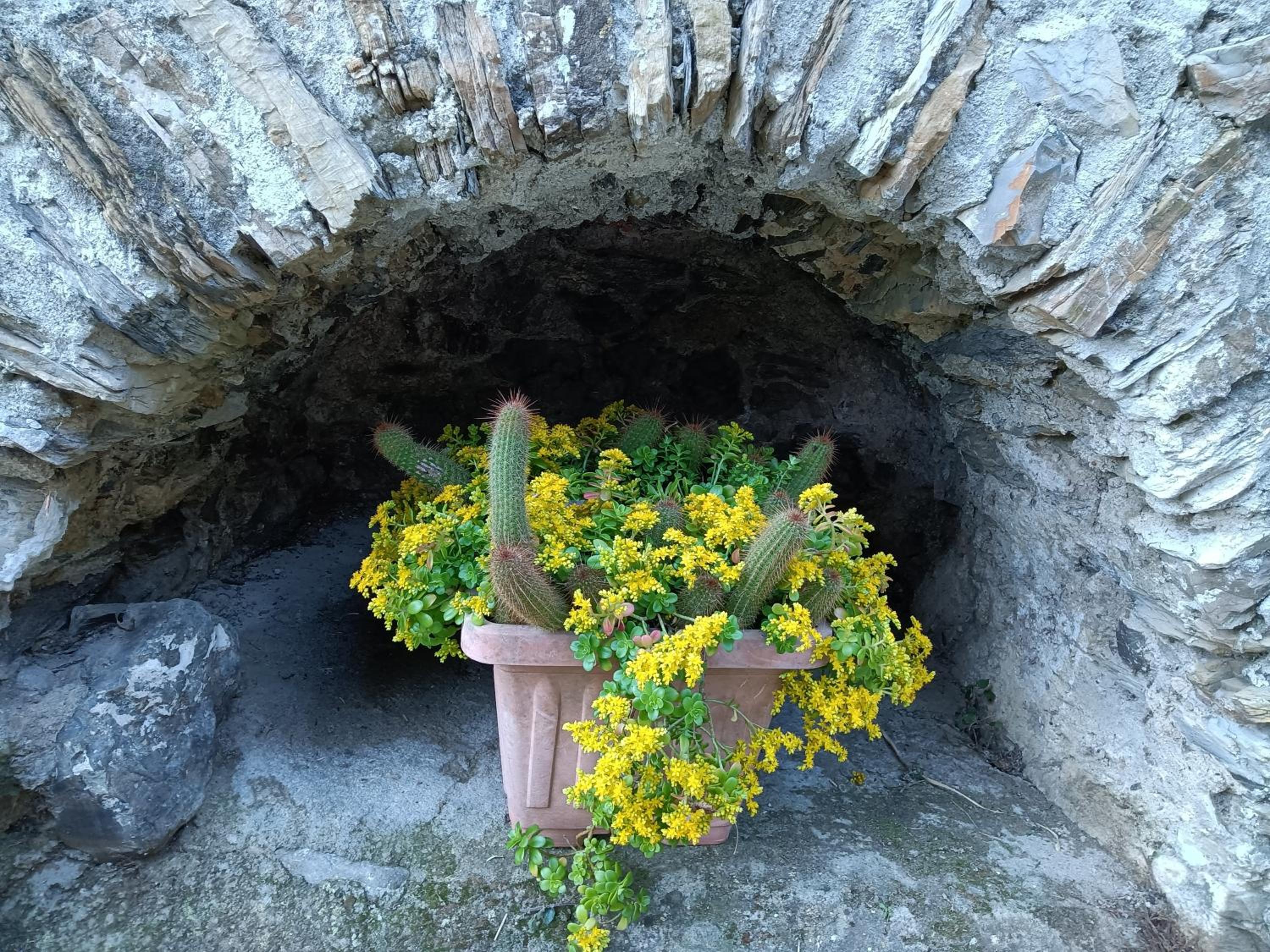 Il Fontolo