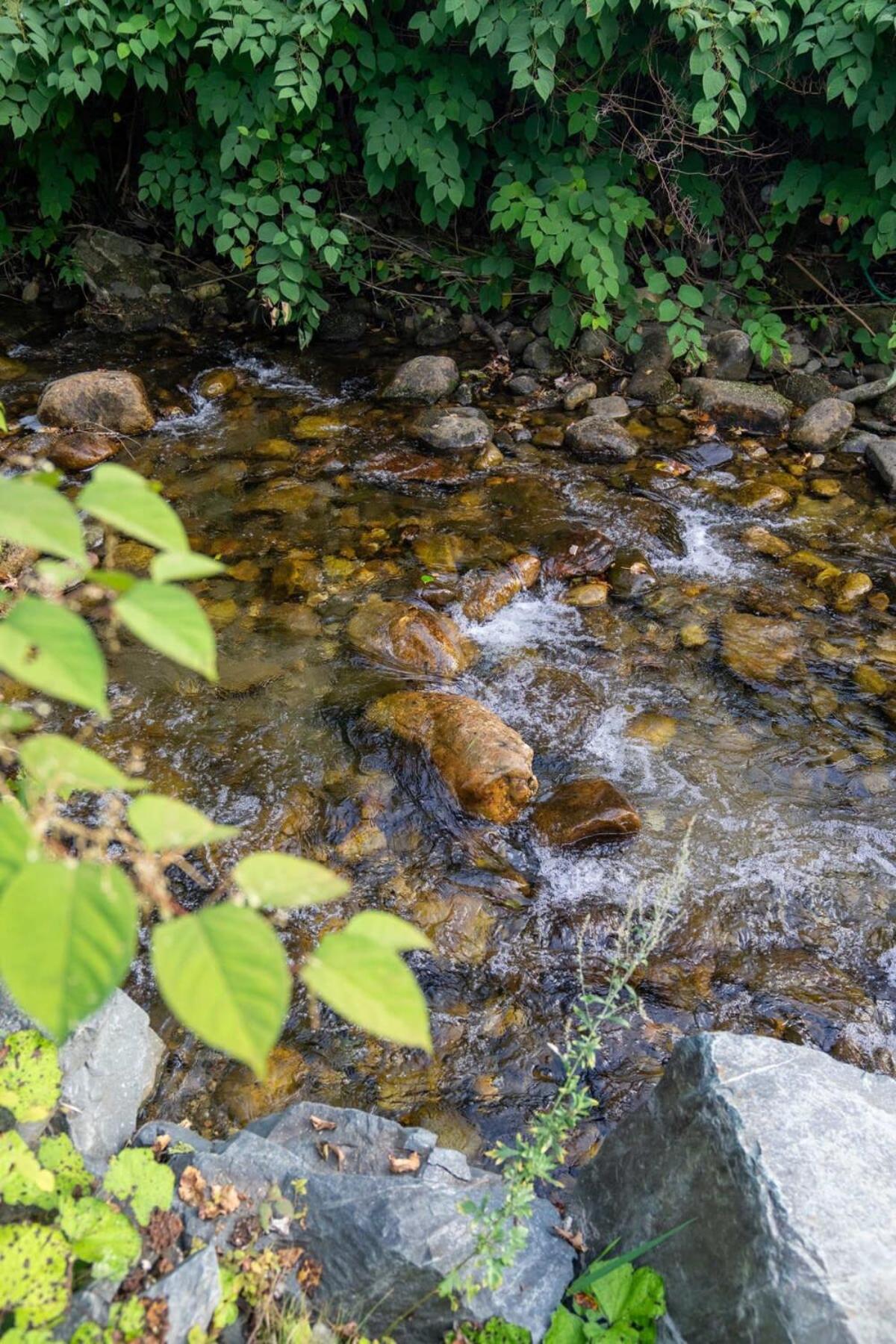 Photo 43