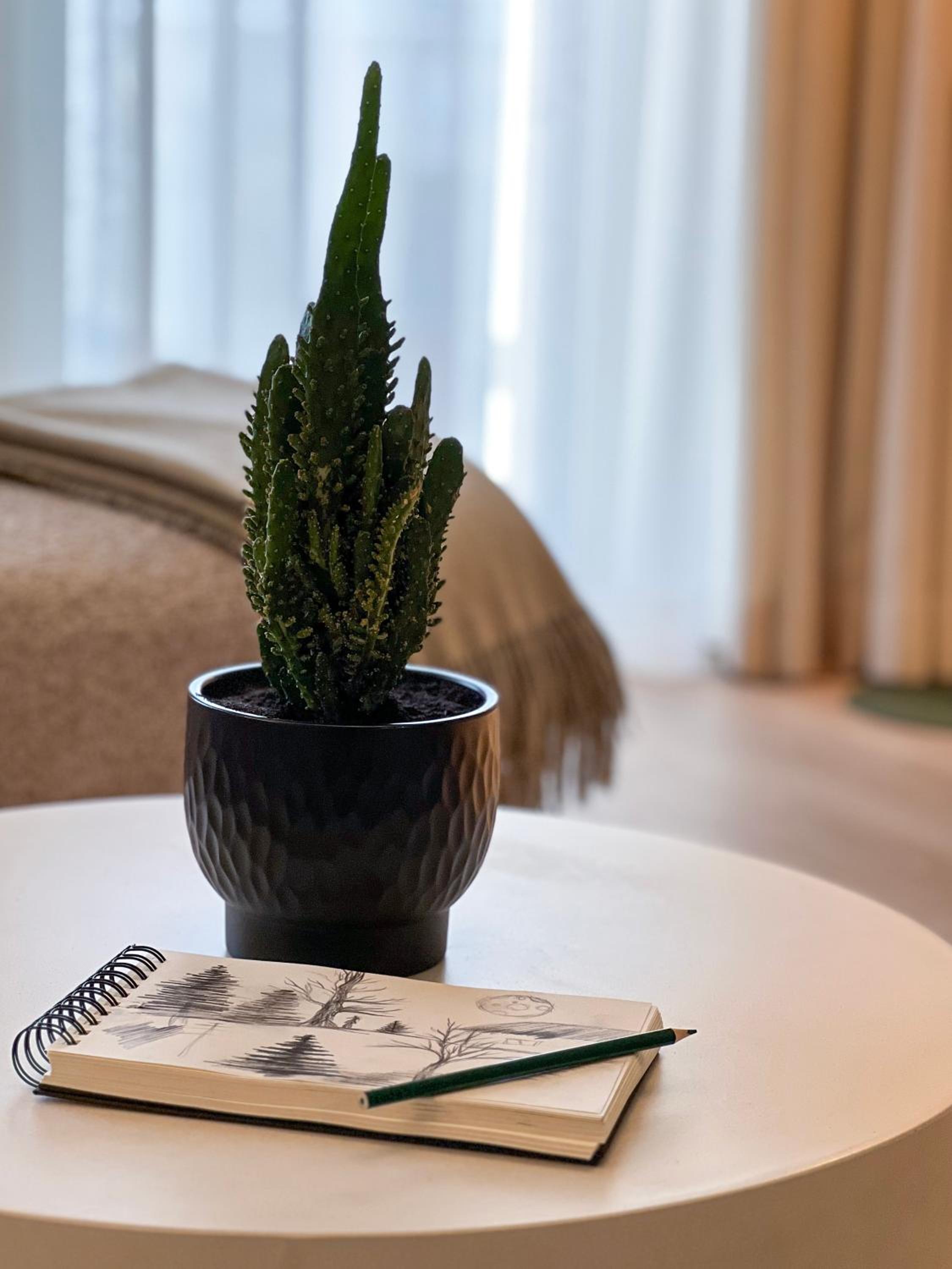 Cozy Designer Apartments, Self Check-In & FREE Parking view 4