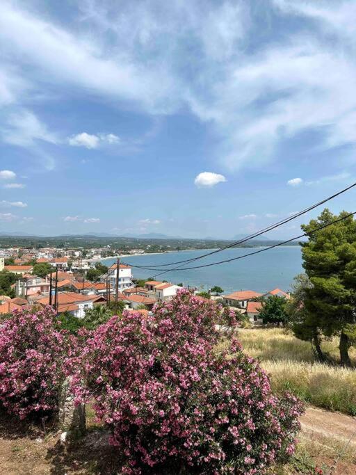 Messenian Style House with Great Views view 3